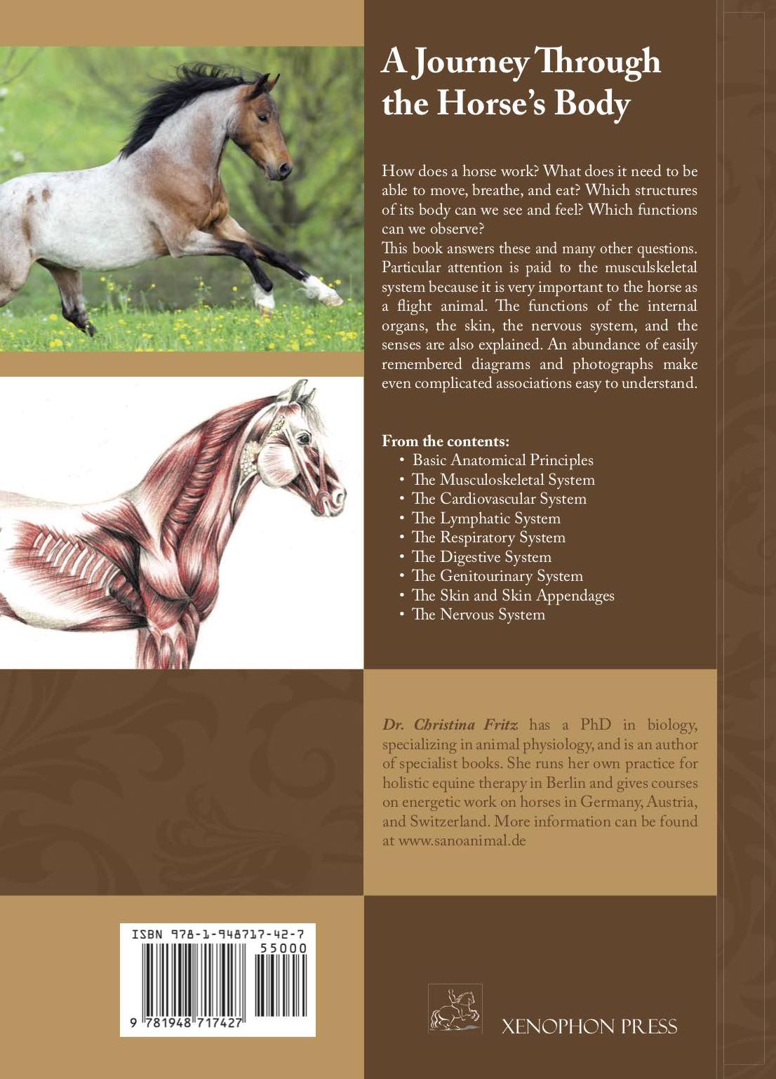 A Journey through the Horse's Body by Dr. Christina Fritz - Image 2