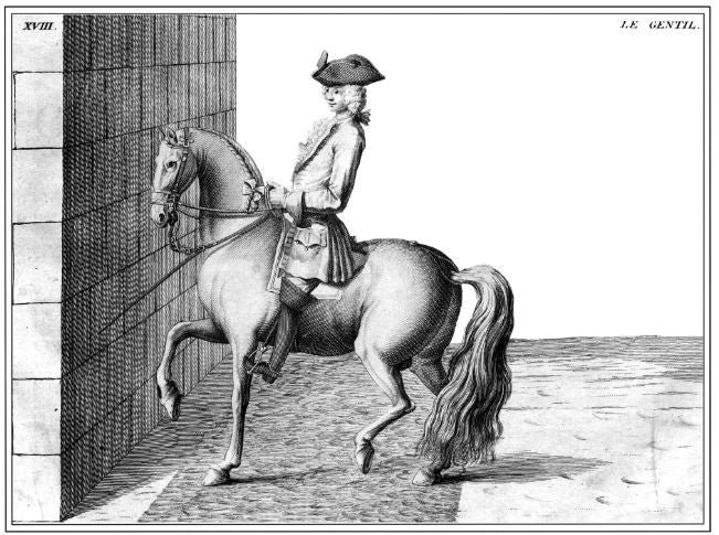 The Art of Riding a Horse or Description of Modern Manège in all It's Perfection by Baron d'Eisenberg fully illustrated with engravings - Image 2