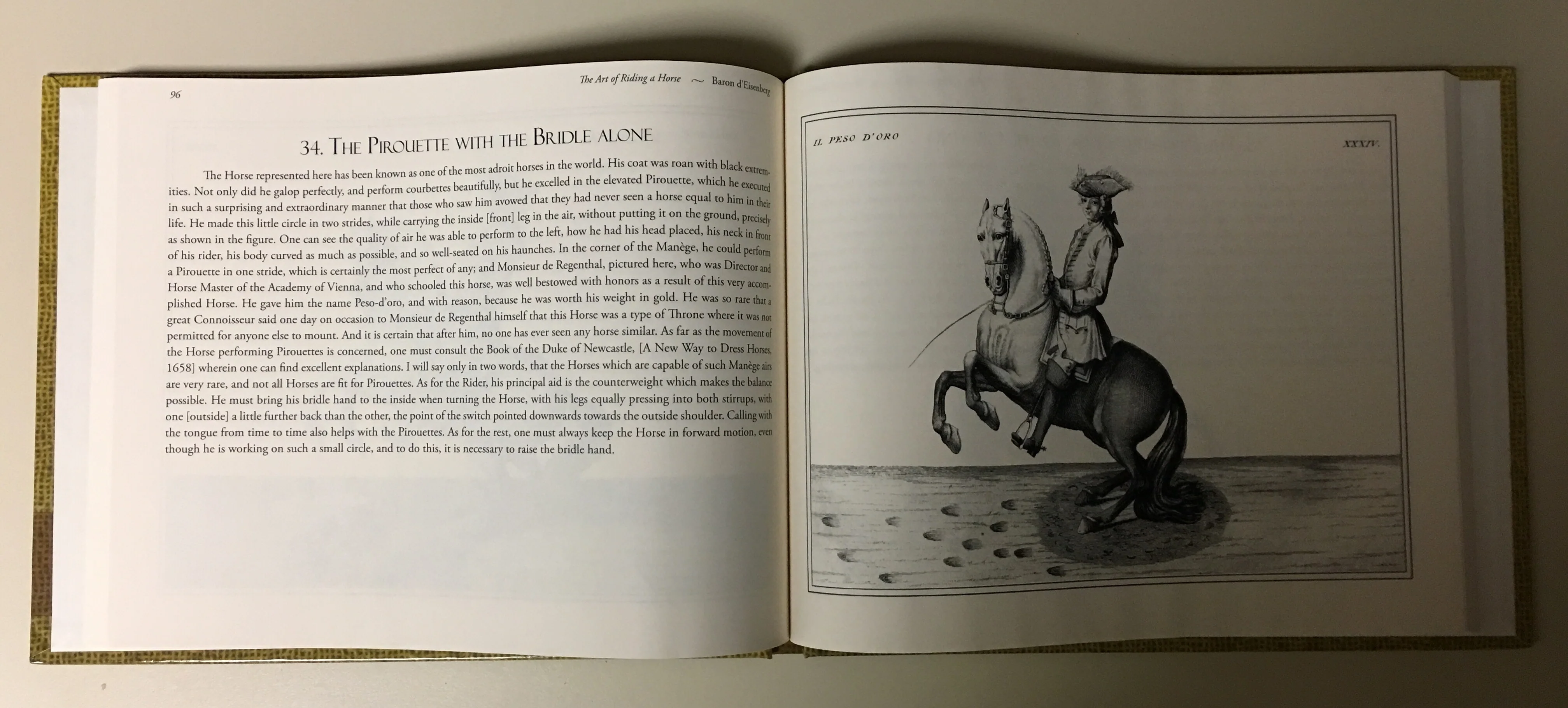 The Art of Riding a Horse or Description of Modern Manège in all It's Perfection by Baron d'Eisenberg fully illustrated with engravings - Image 6
