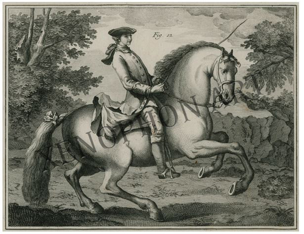 Canter Pirouette Right - Fine Art Giclée on Paper