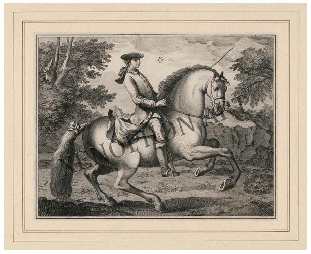 Canter Pirouette Right - Fine Art Giclée on Paper - Image 2