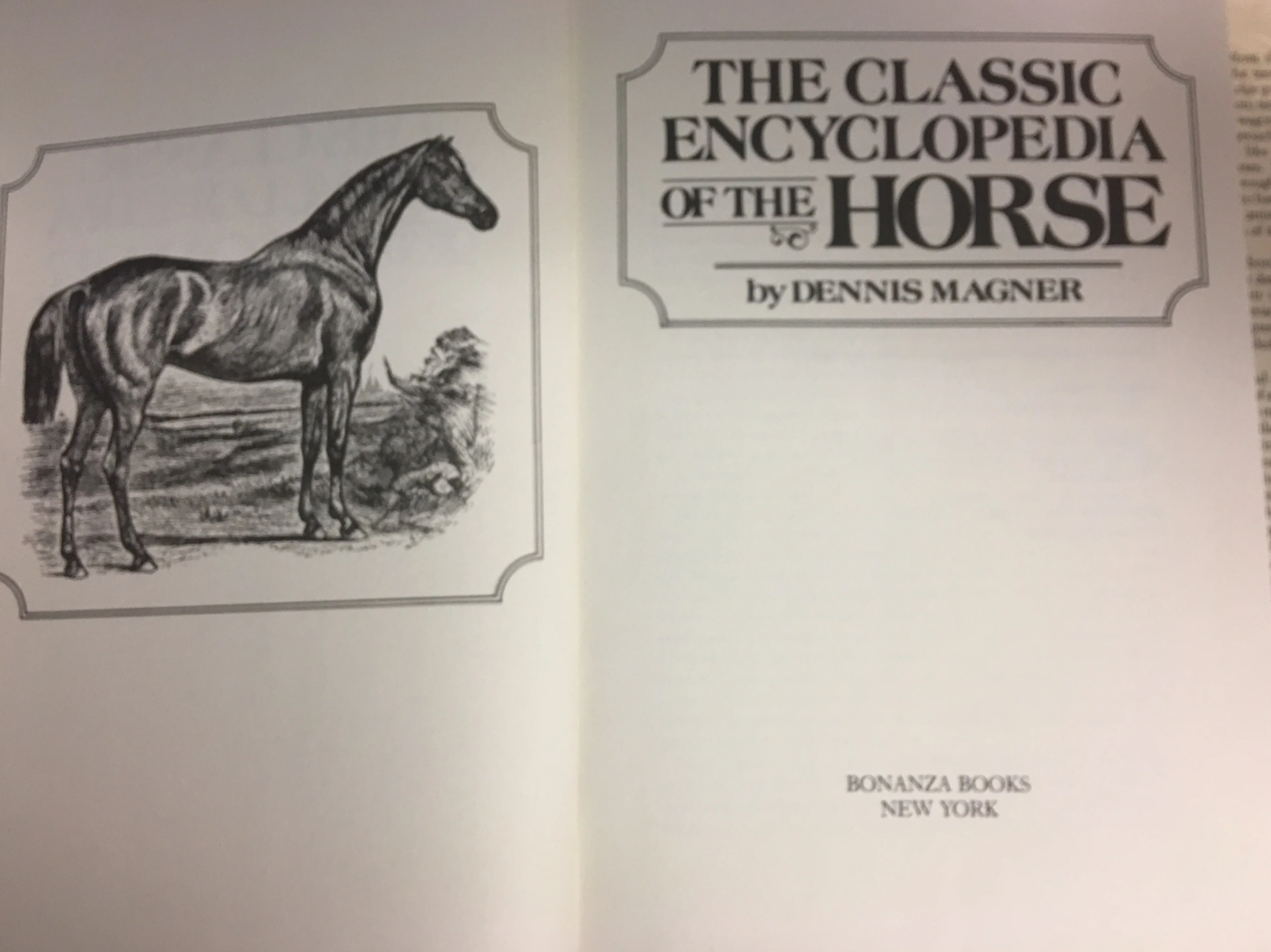Classic Encyclopedia of the Horse Hardcover –  1988 by Dennis Magner - Image 3