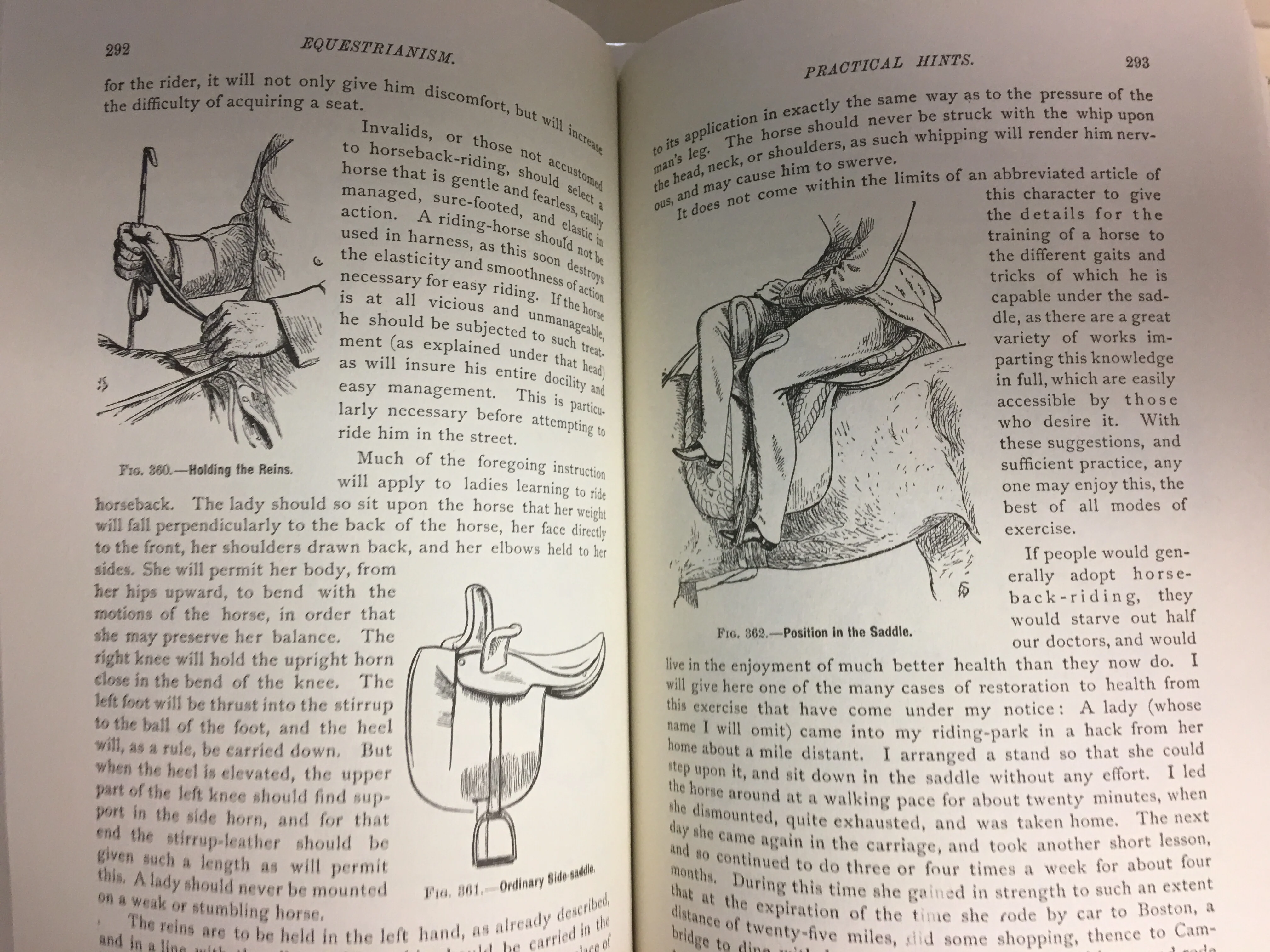 Classic Encyclopedia of the Horse Hardcover –  1988 by Dennis Magner - Image 4