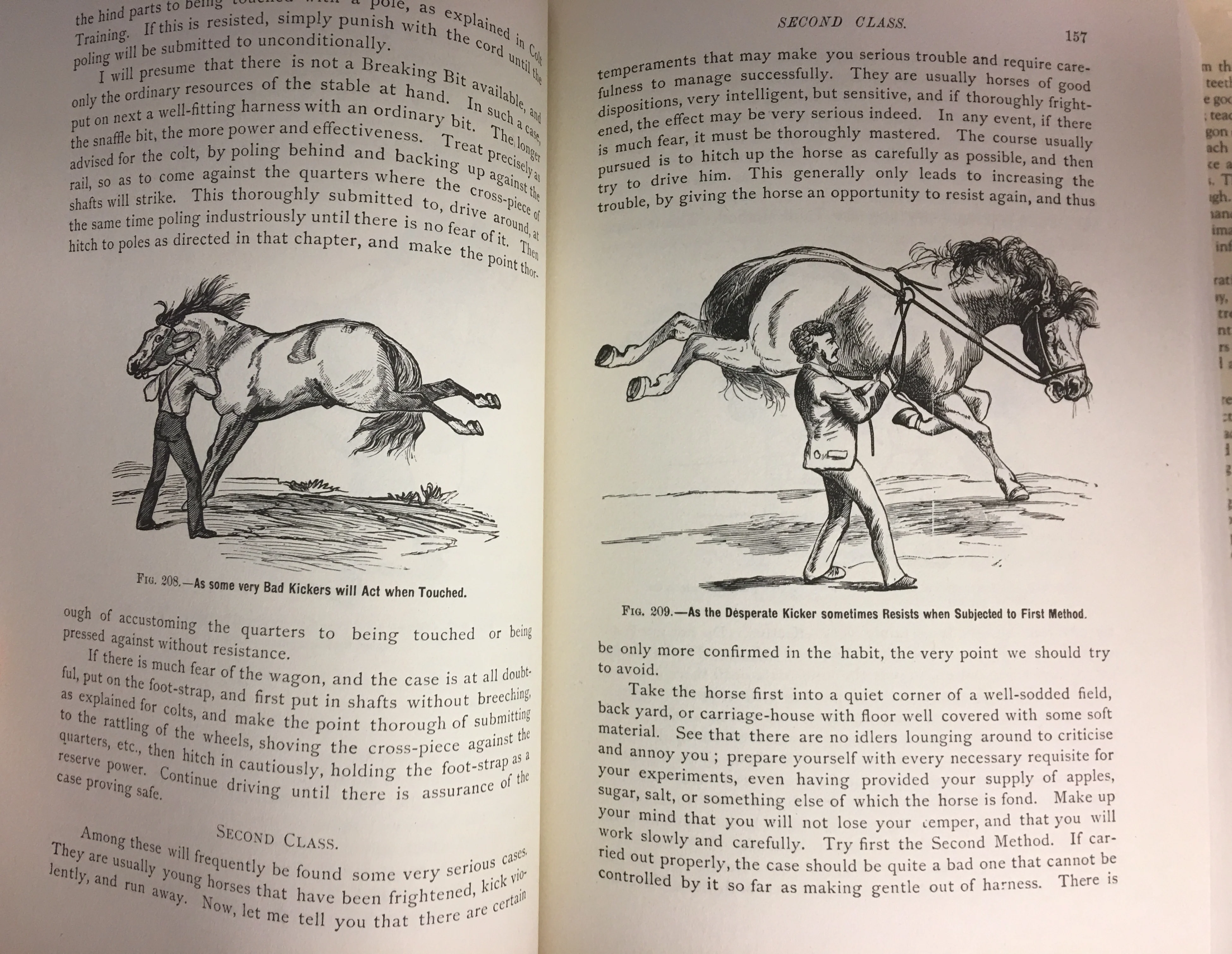 Classic Encyclopedia of the Horse Hardcover –  1988 by Dennis Magner - Image 6