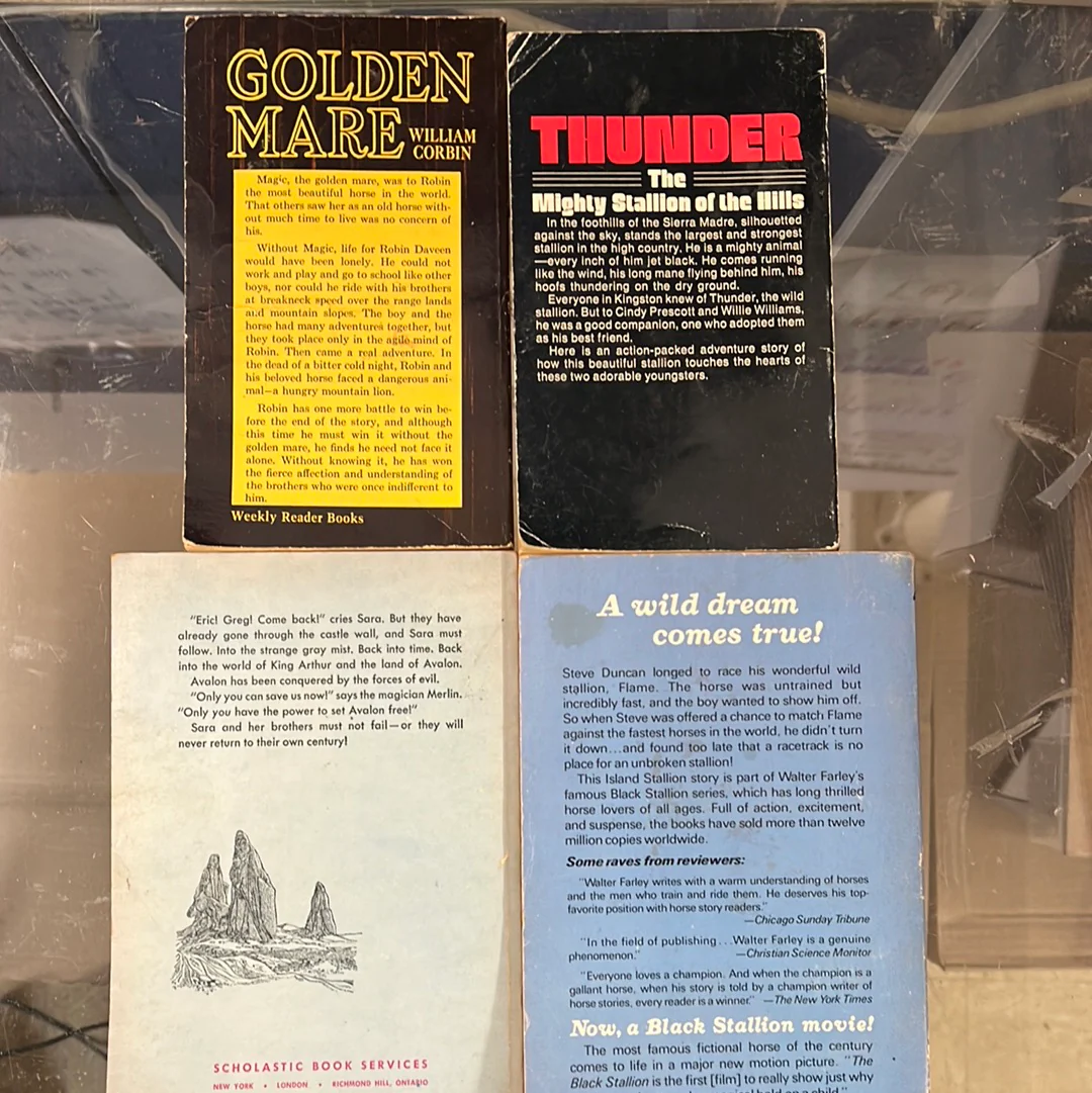 Collection of 4 classic horse novels - Image 2