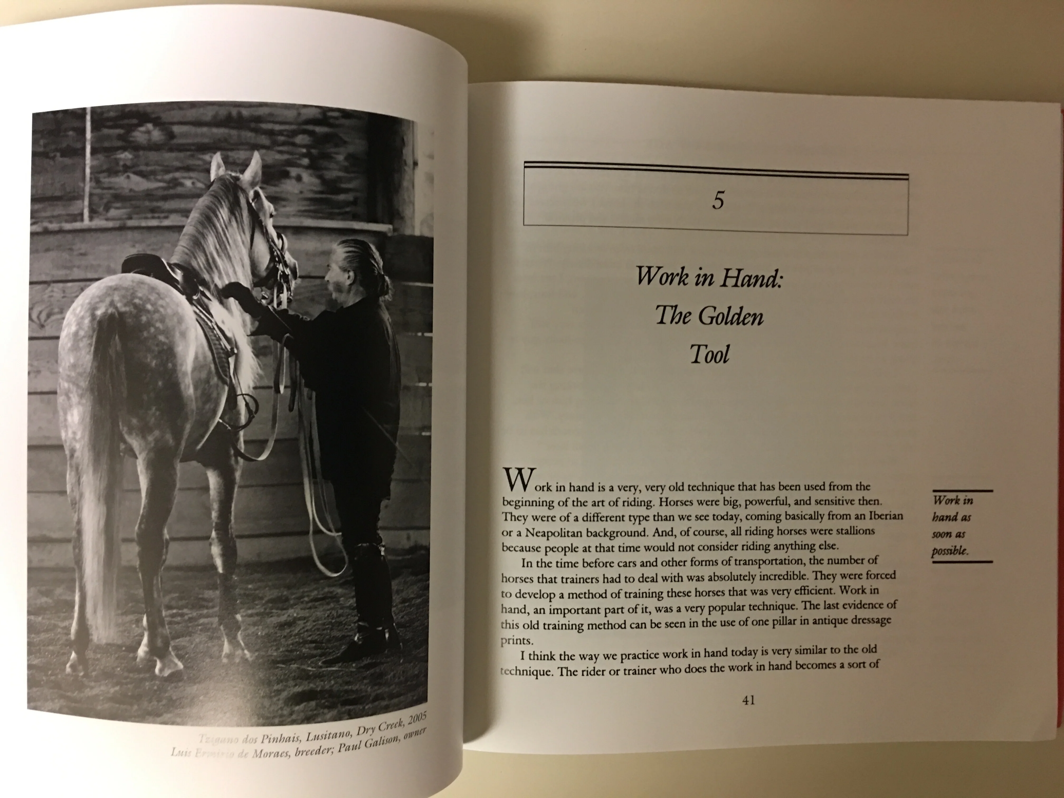 Dressage for the New Age 3rd Edition by Dominique Barbier - Image 3
