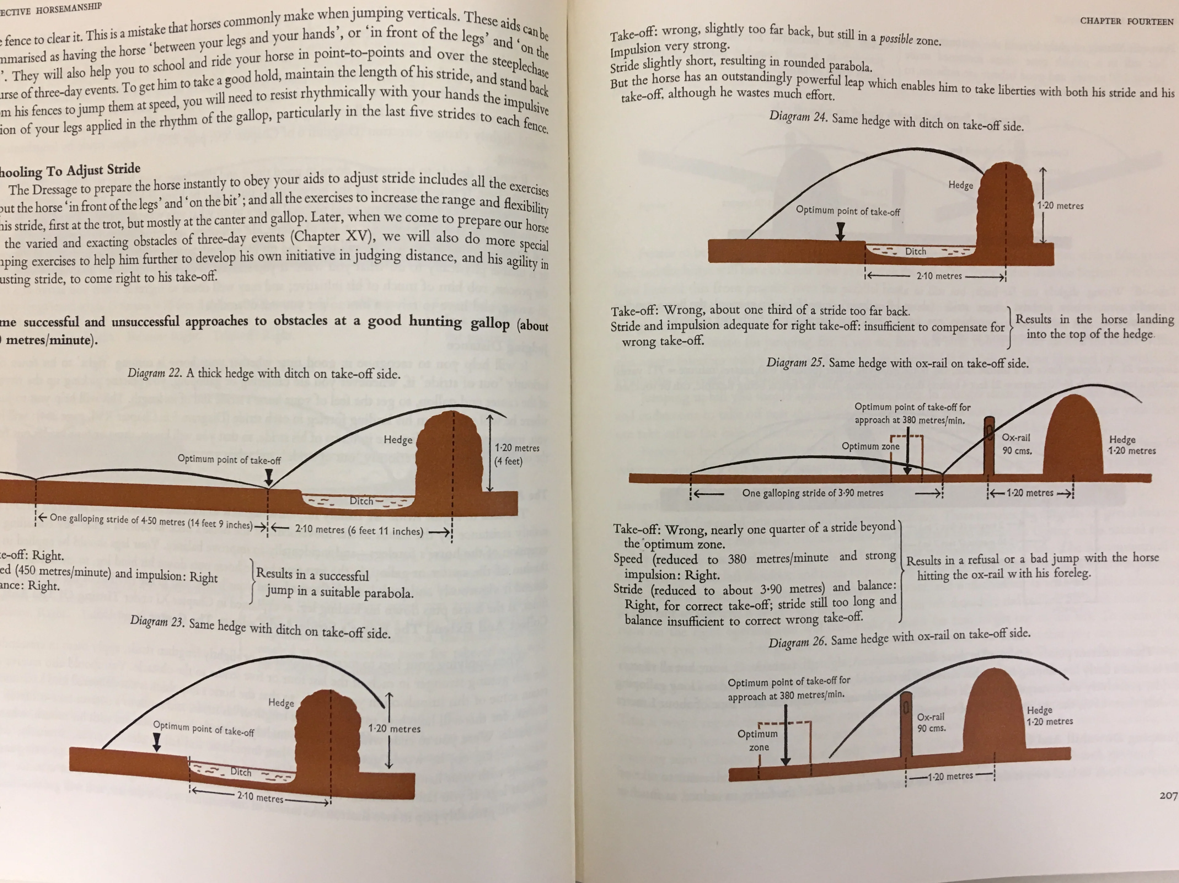 Effective Horsemanship for Dressage, three day event, jumping and polo by Noel Jackson - Image 5