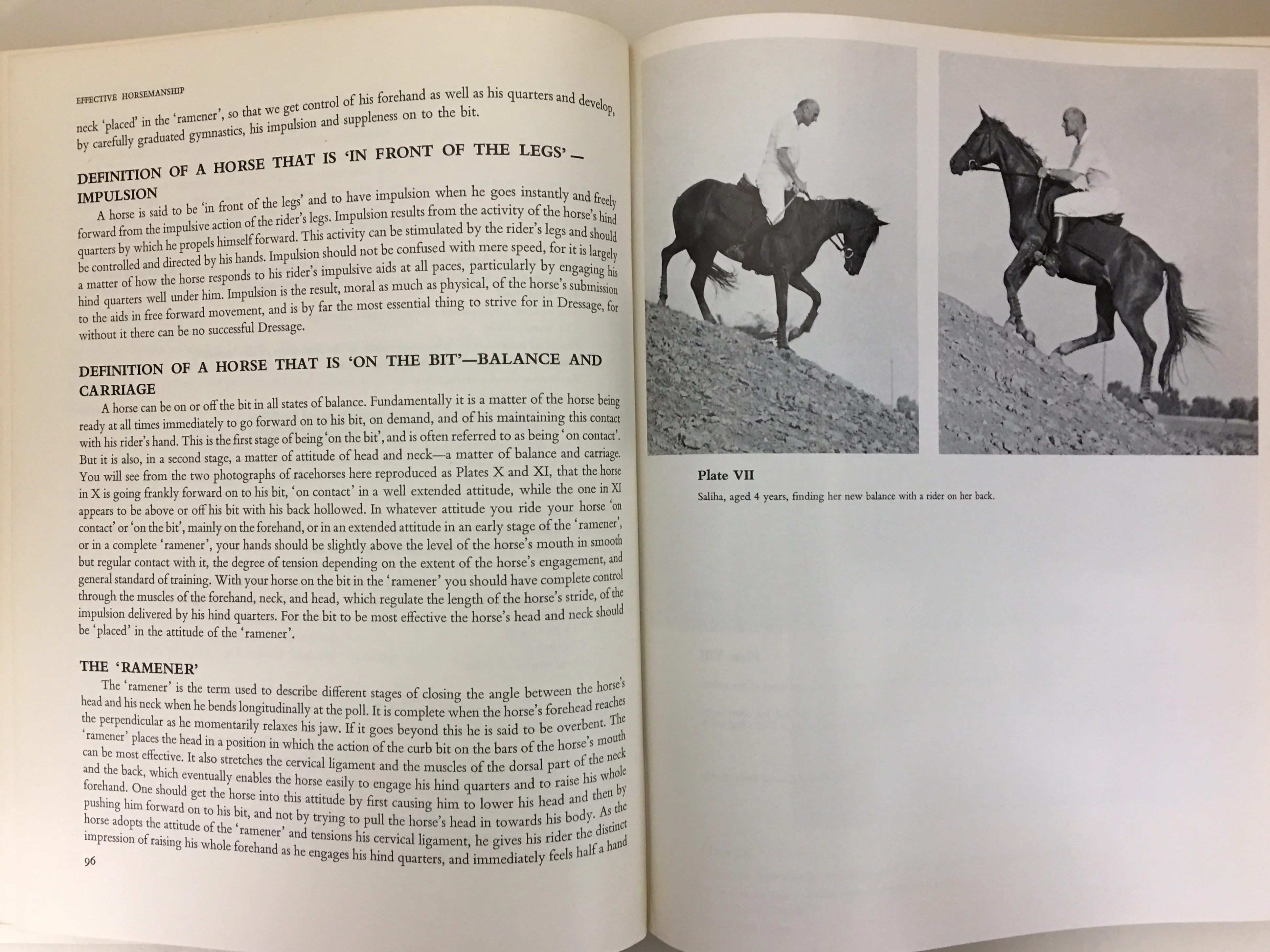 Effective Horsemanship for Dressage, three day event, jumping and polo by Noel Jackson - Image 6