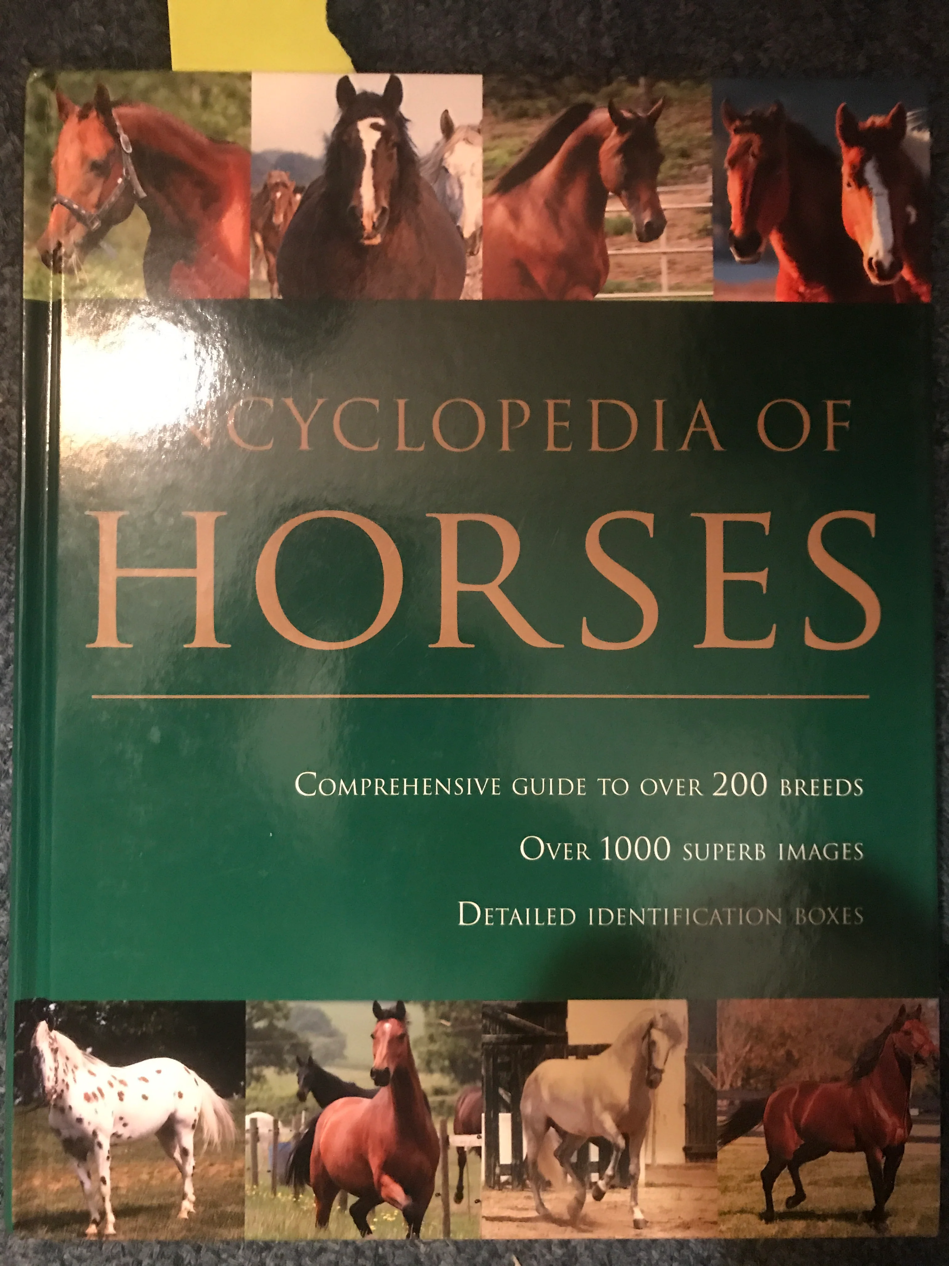 Encyclopedia of Horses by Debby Sly - gently used copy