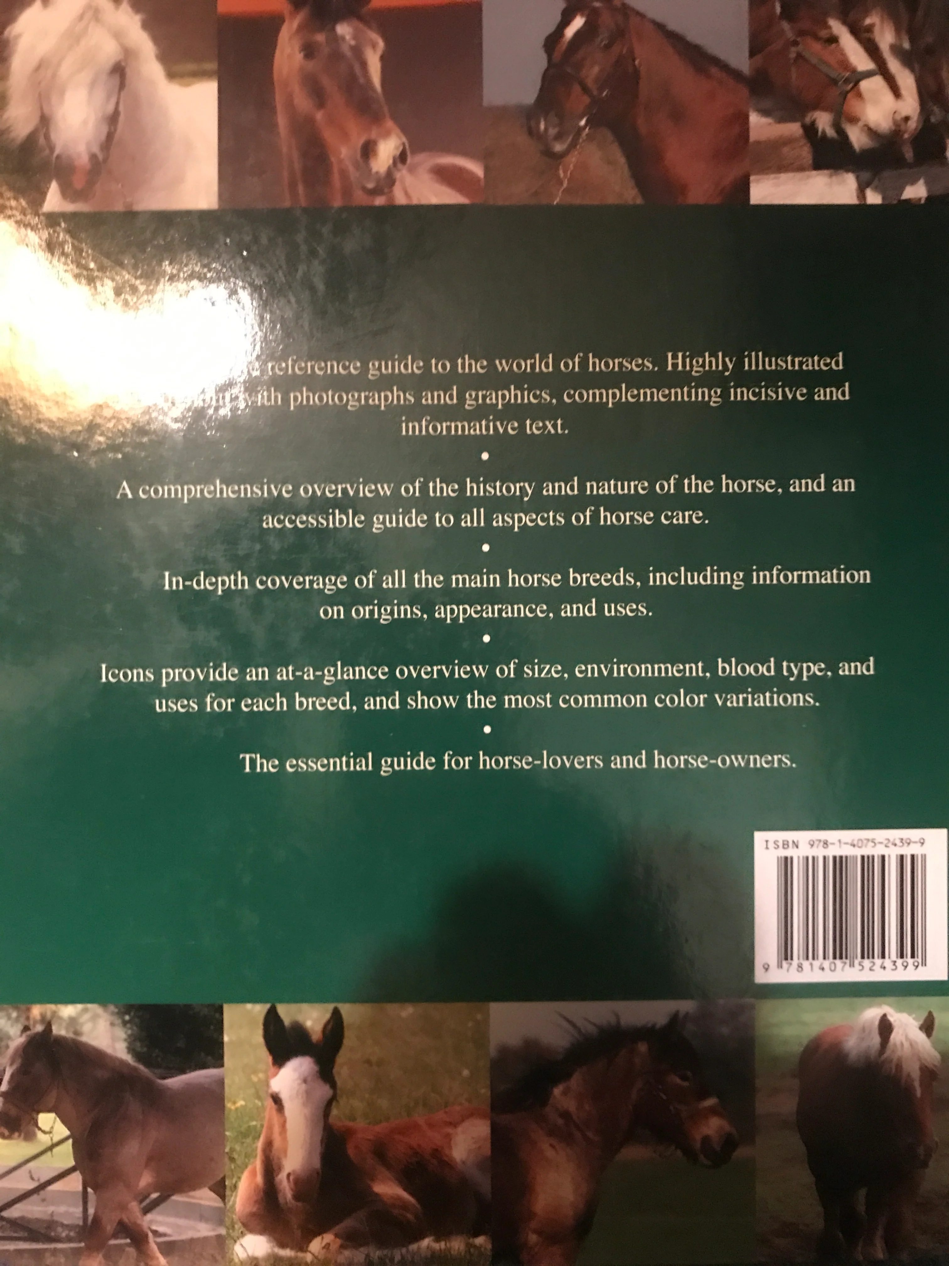 Encyclopedia of Horses by Debby Sly - gently used copy - Image 2