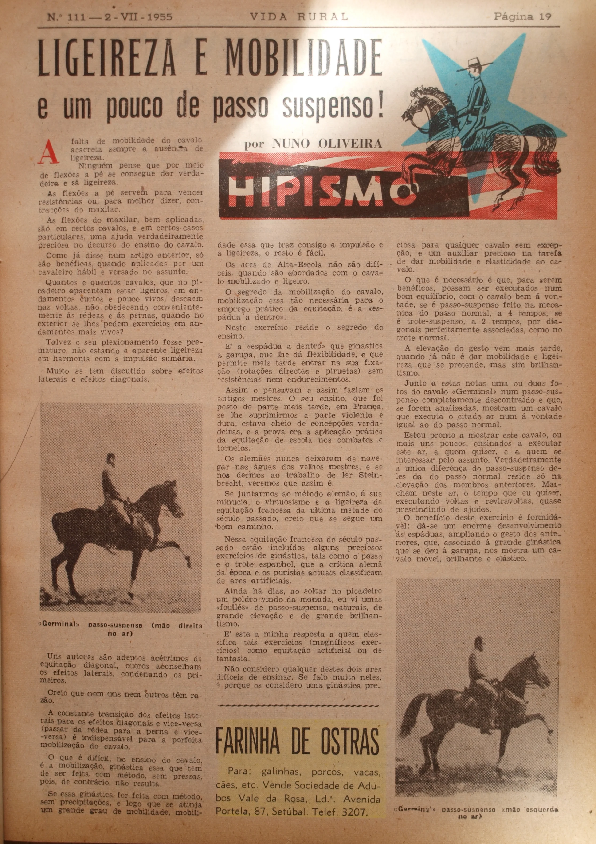 Equestrian Art: The Collected Early Writings (1951-1956) by Master Nuno Oliveira - Image 4