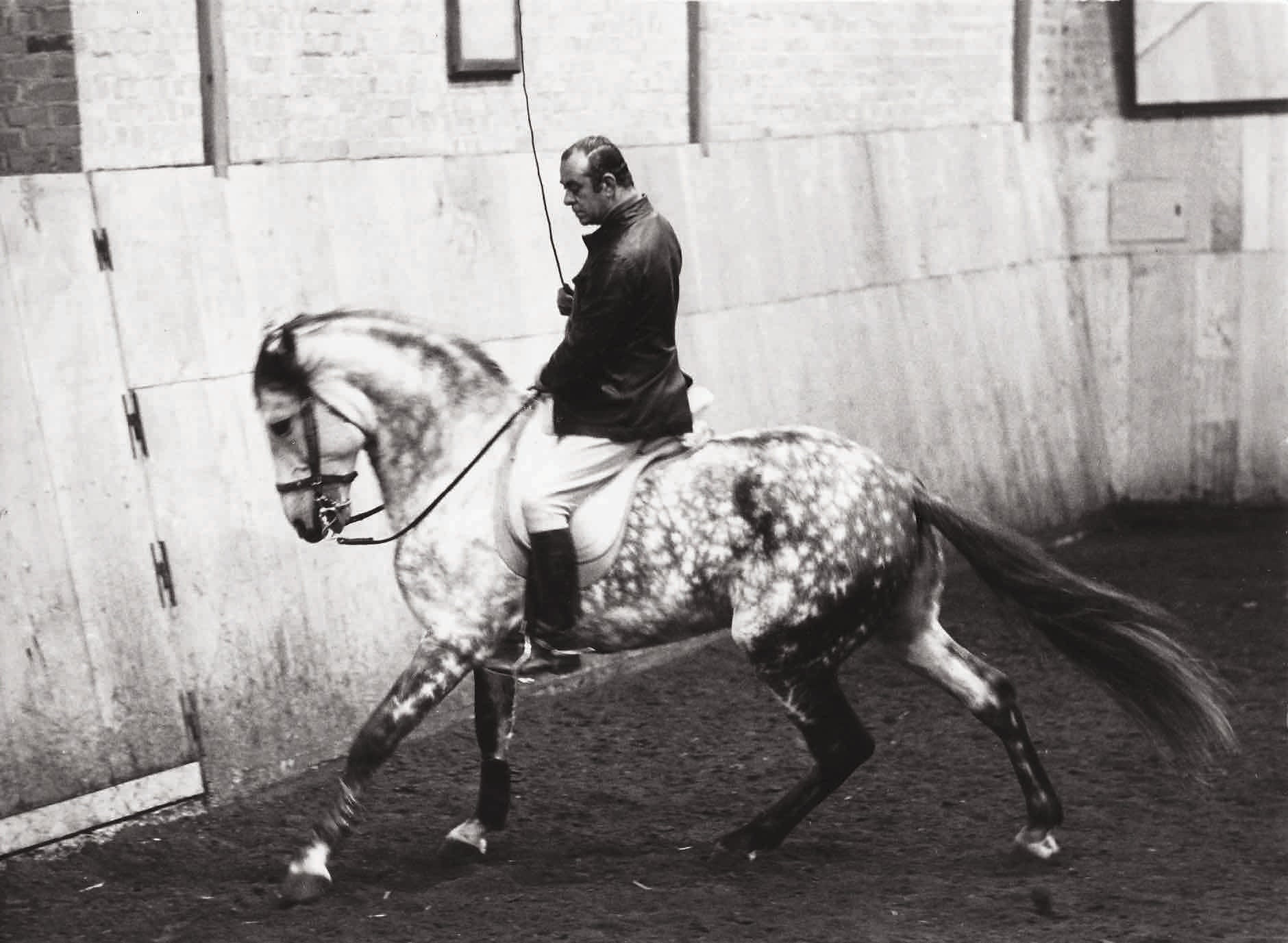 Equestrian Art: The Collected Later Works by Master Nuno Oliveira (Collector's Edition) - Image 3