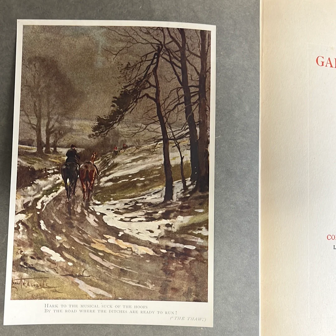 Galloping Shoes Verses by Will H. Ogilvie Illustrations by Lionel Edwards 1923 - gently used - Image 2