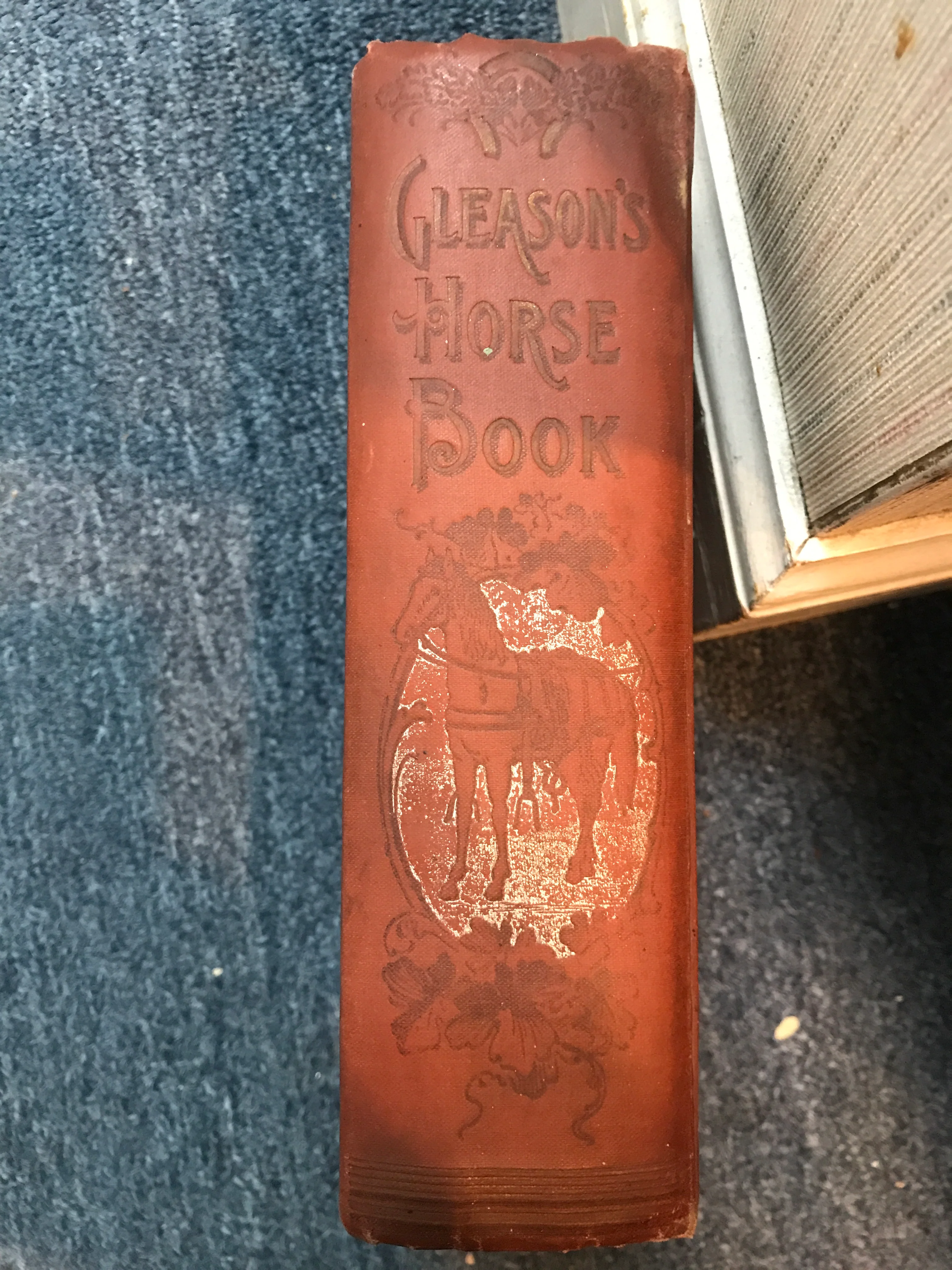 Gleason's horse book : the only authorized work by America's king of horse tamers comprising history breeding training breaking buying feeding grooming shoeing doctoring telling age and general care of the horse / by Oscar R. Gleason. 1892 - Image 4