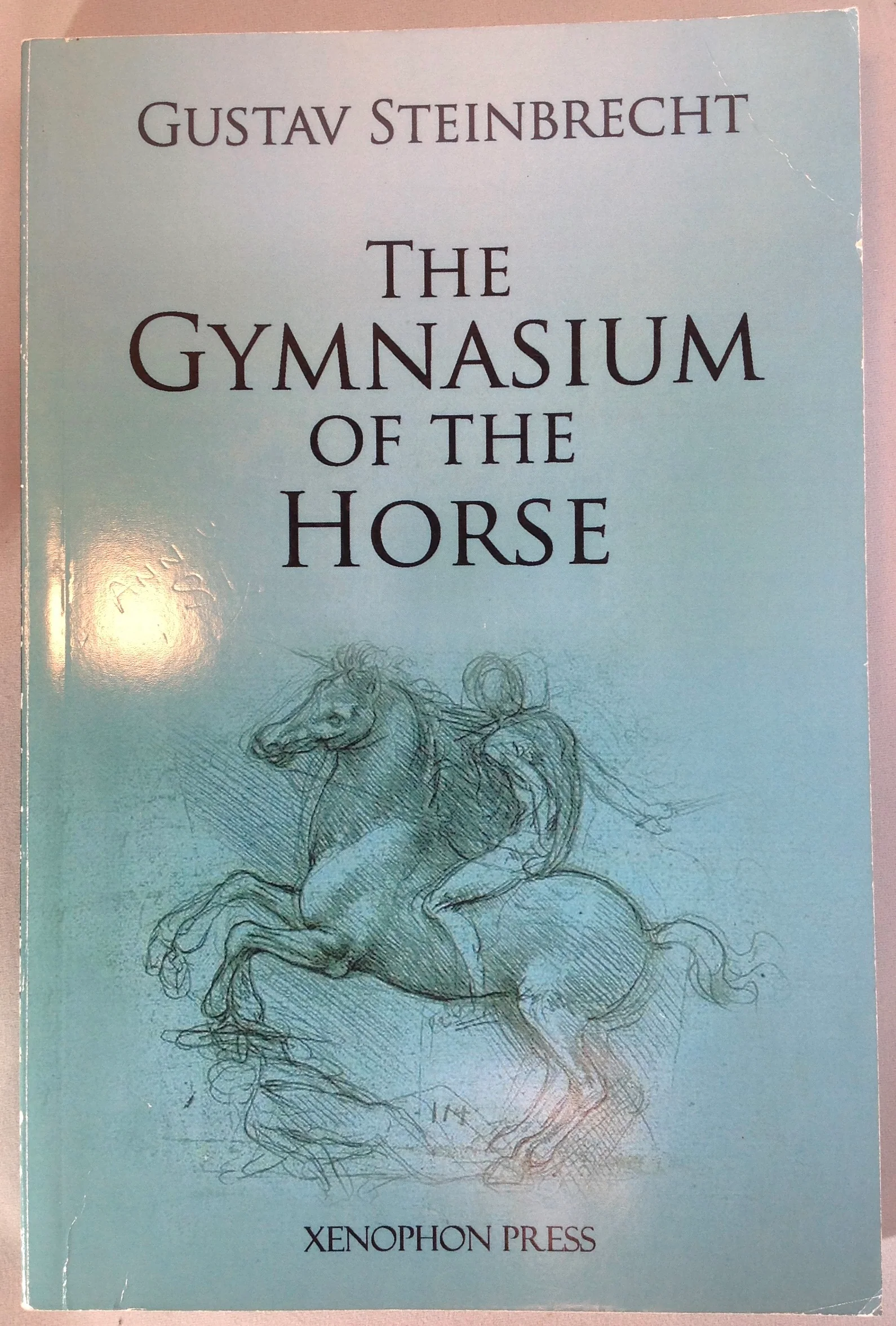 Gymnasium of the Horse by Gustav Steinbrecht - Image 5