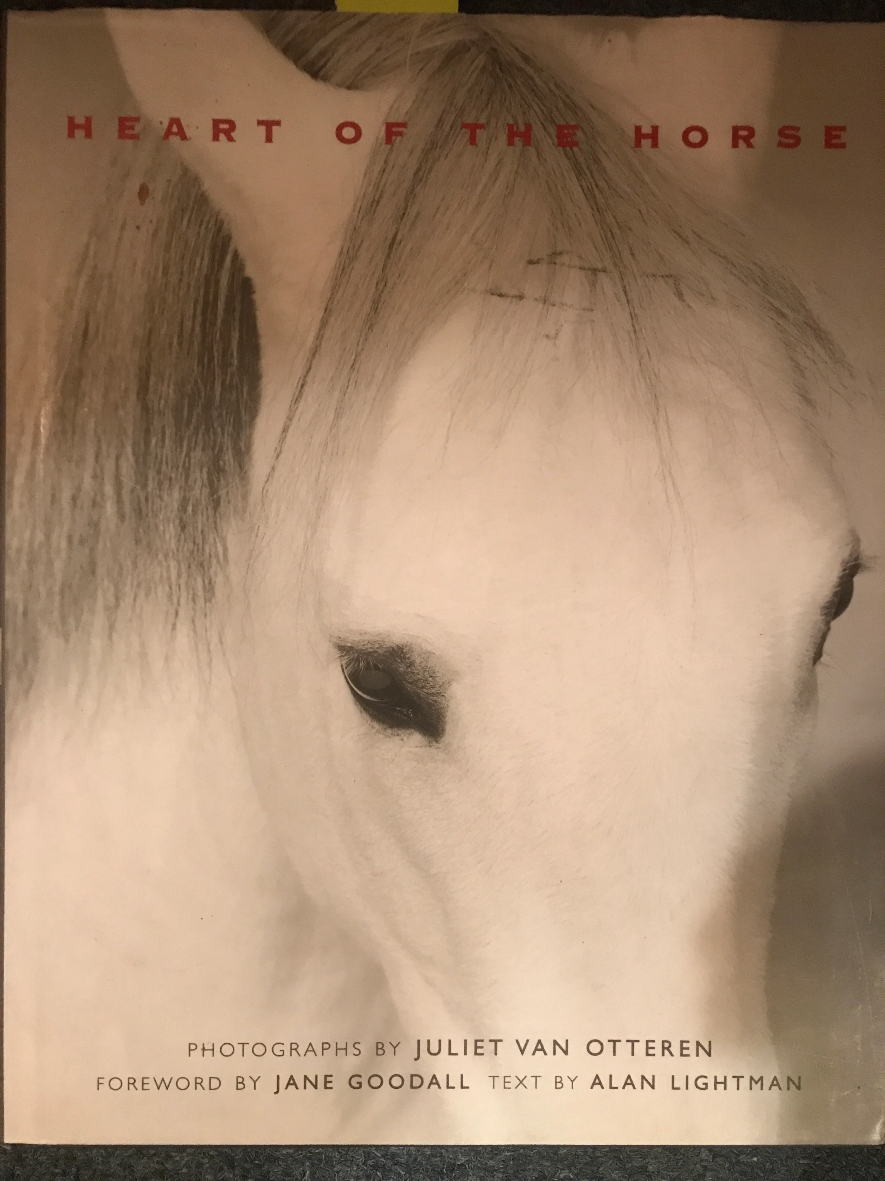 Heart of the Horse- gently used Hardcover