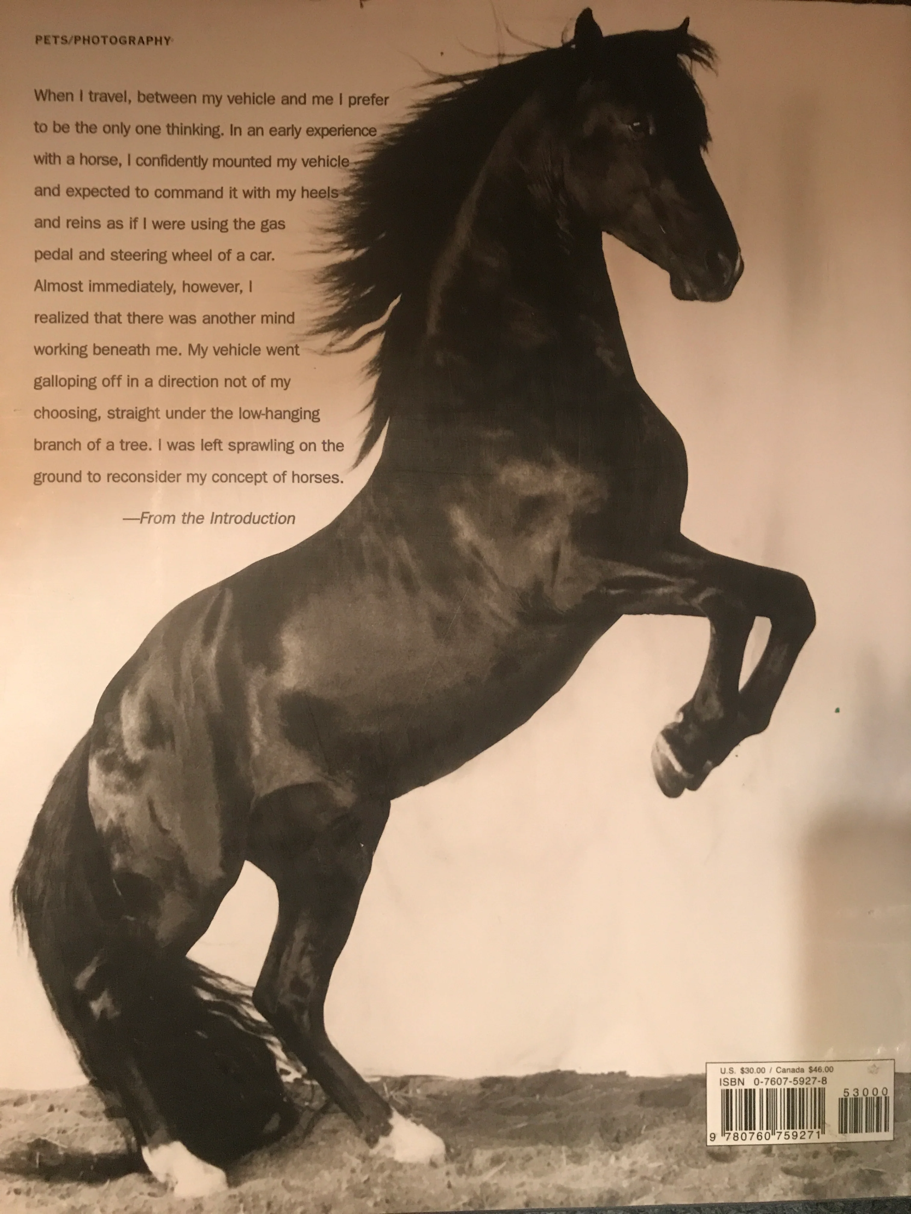 Heart of the Horse- gently used Hardcover - Image 2