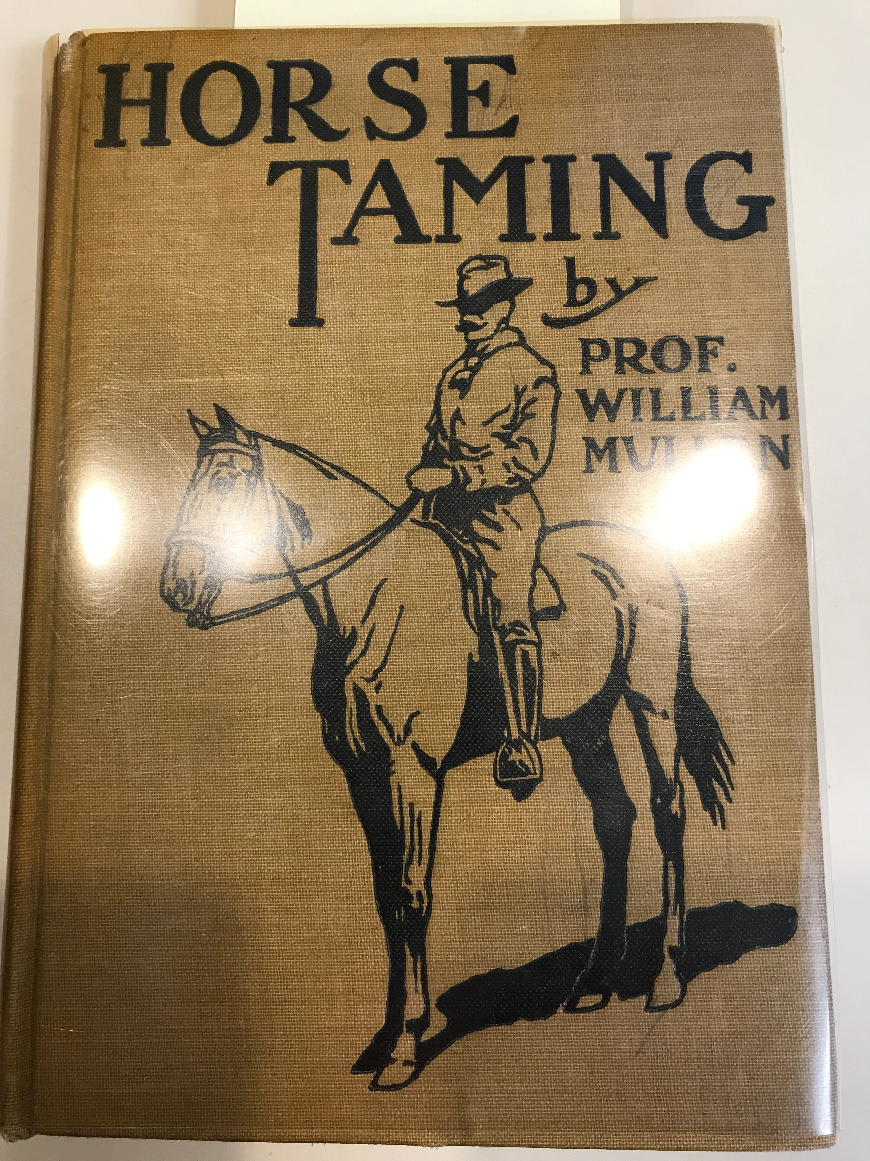 Horse Taming: How to Break, Educate and Handle the Horse for the Uses of Every Day Life by Wiliam Mullen