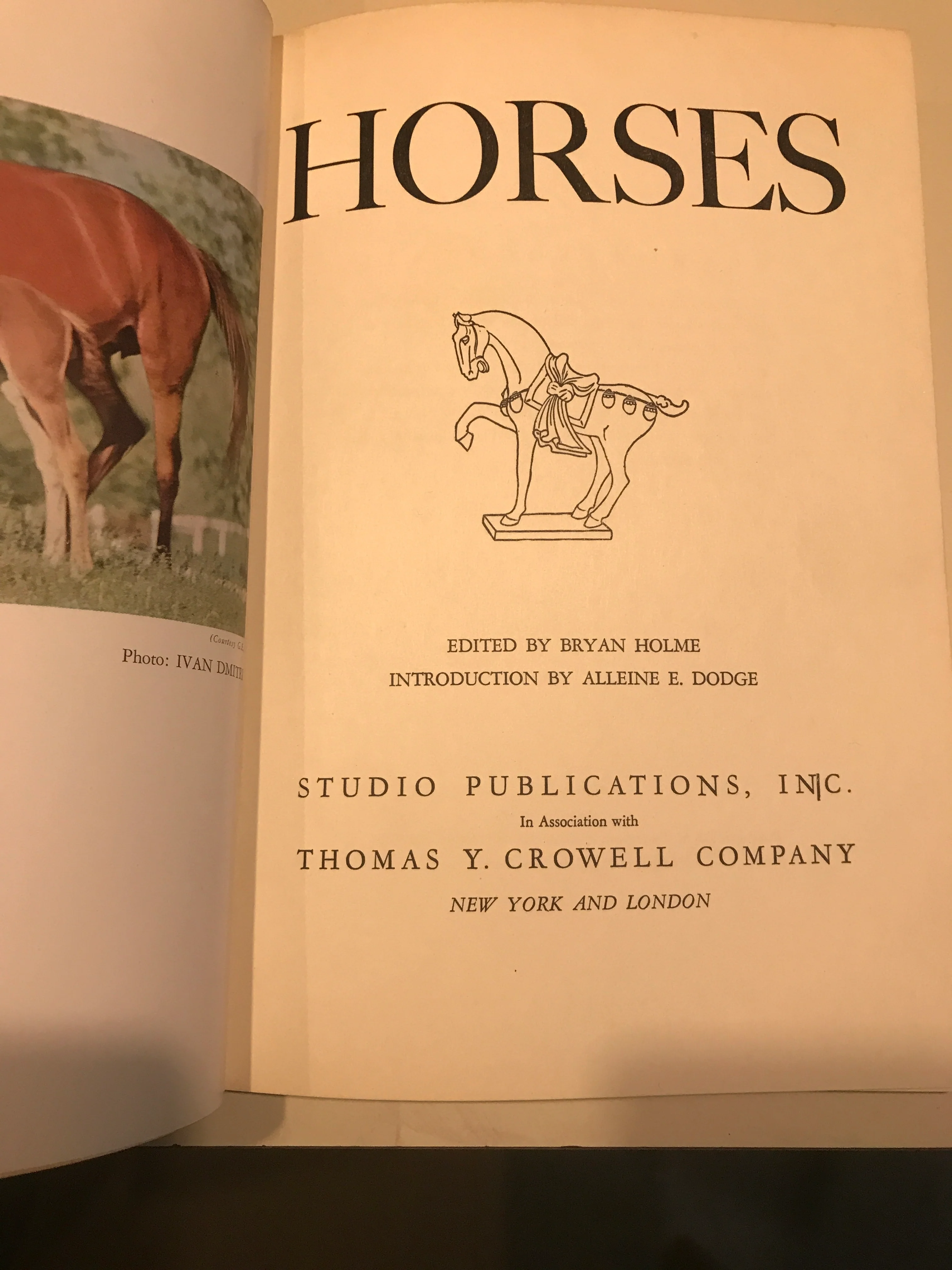 Horses Hardcover – 1951 by Bryan Holme (Editor), Alleine E Dodge (Introduction) - Image 2