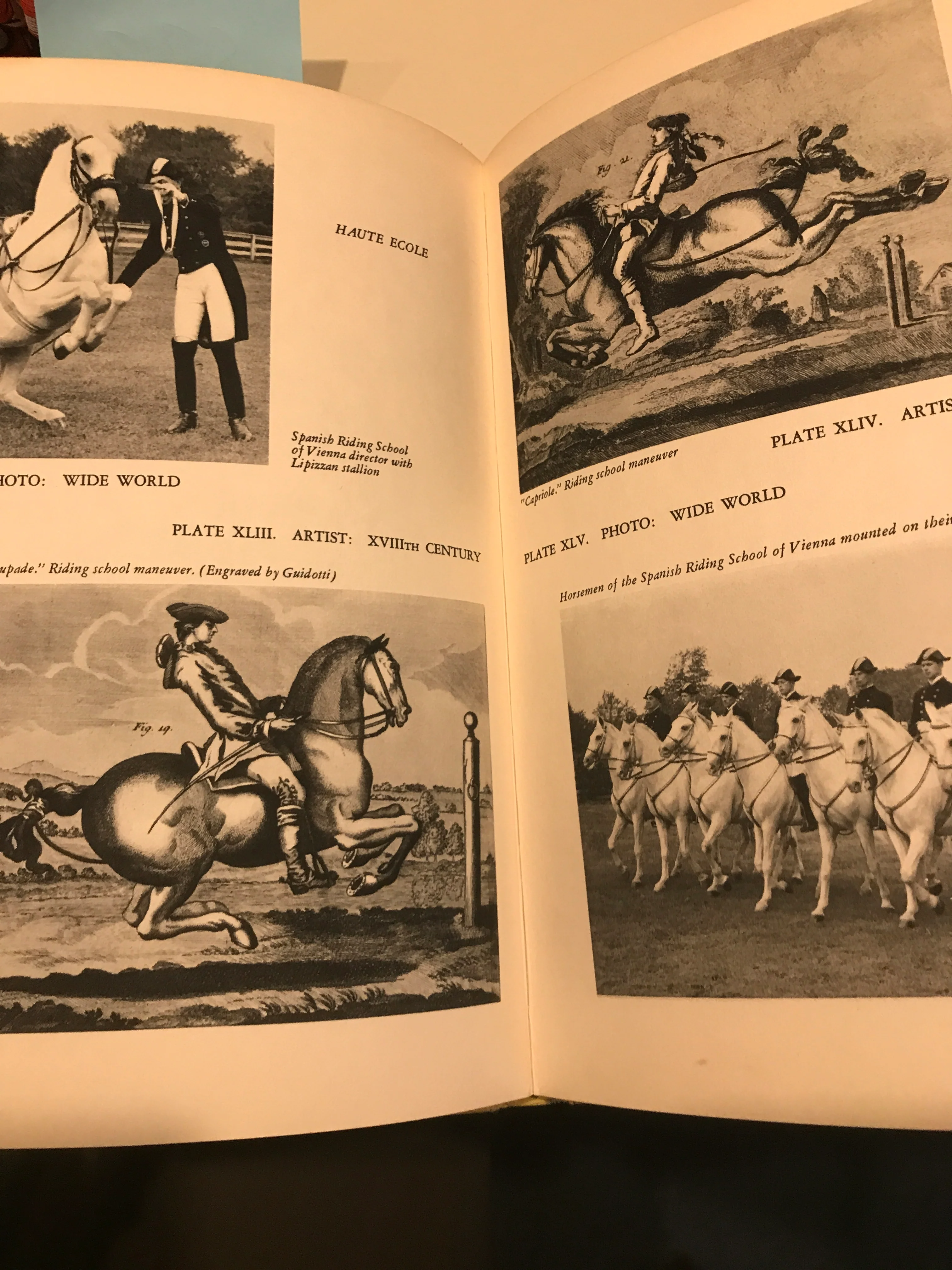 Horses Hardcover – 1951 by Bryan Holme (Editor), Alleine E Dodge (Introduction) - Image 3
