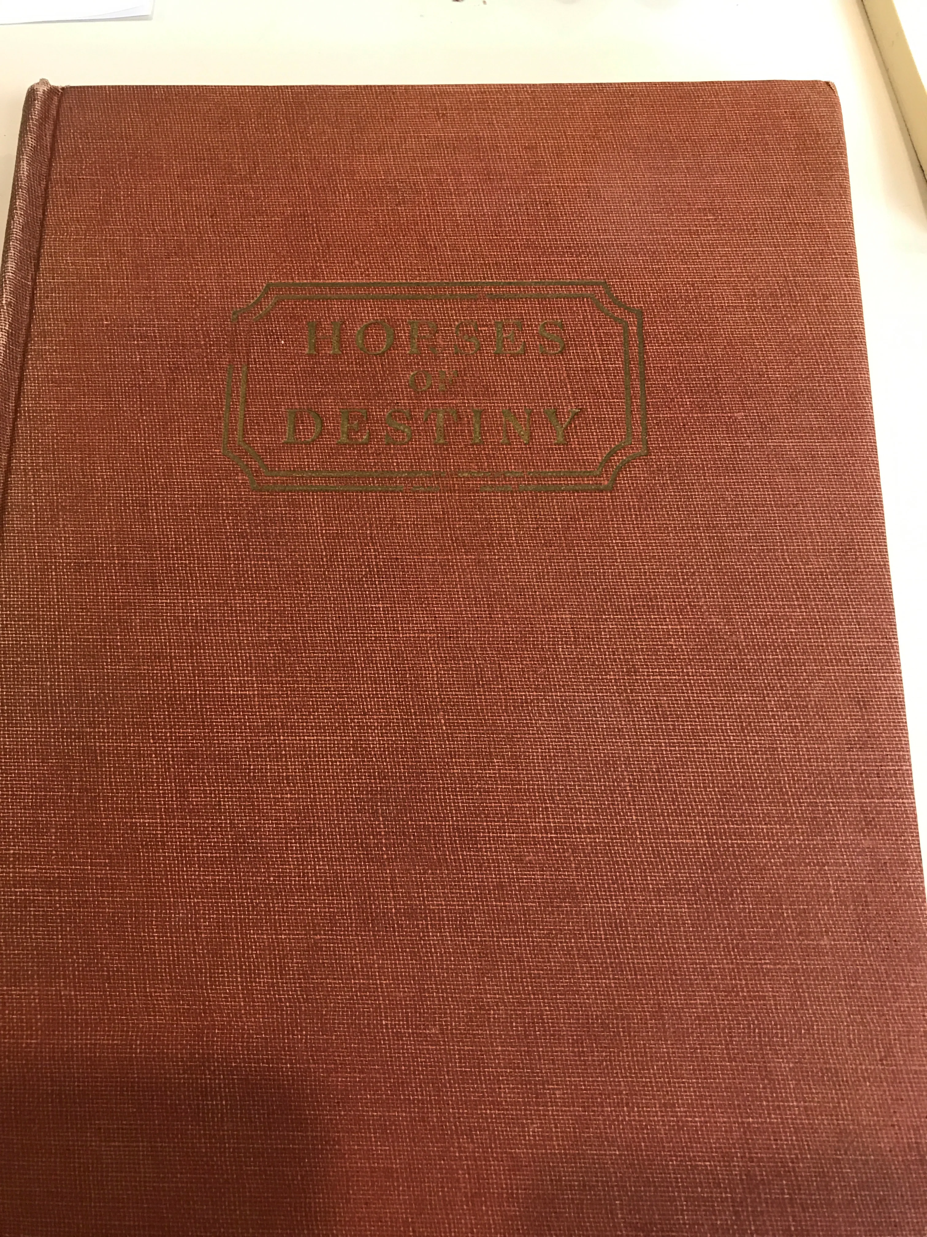 Horses of Destiny (First Edition) (Hardcover) by Fairfax and Paul Brown Downey (Author), Paul Brown (Illustrator) - gently used - Image 2