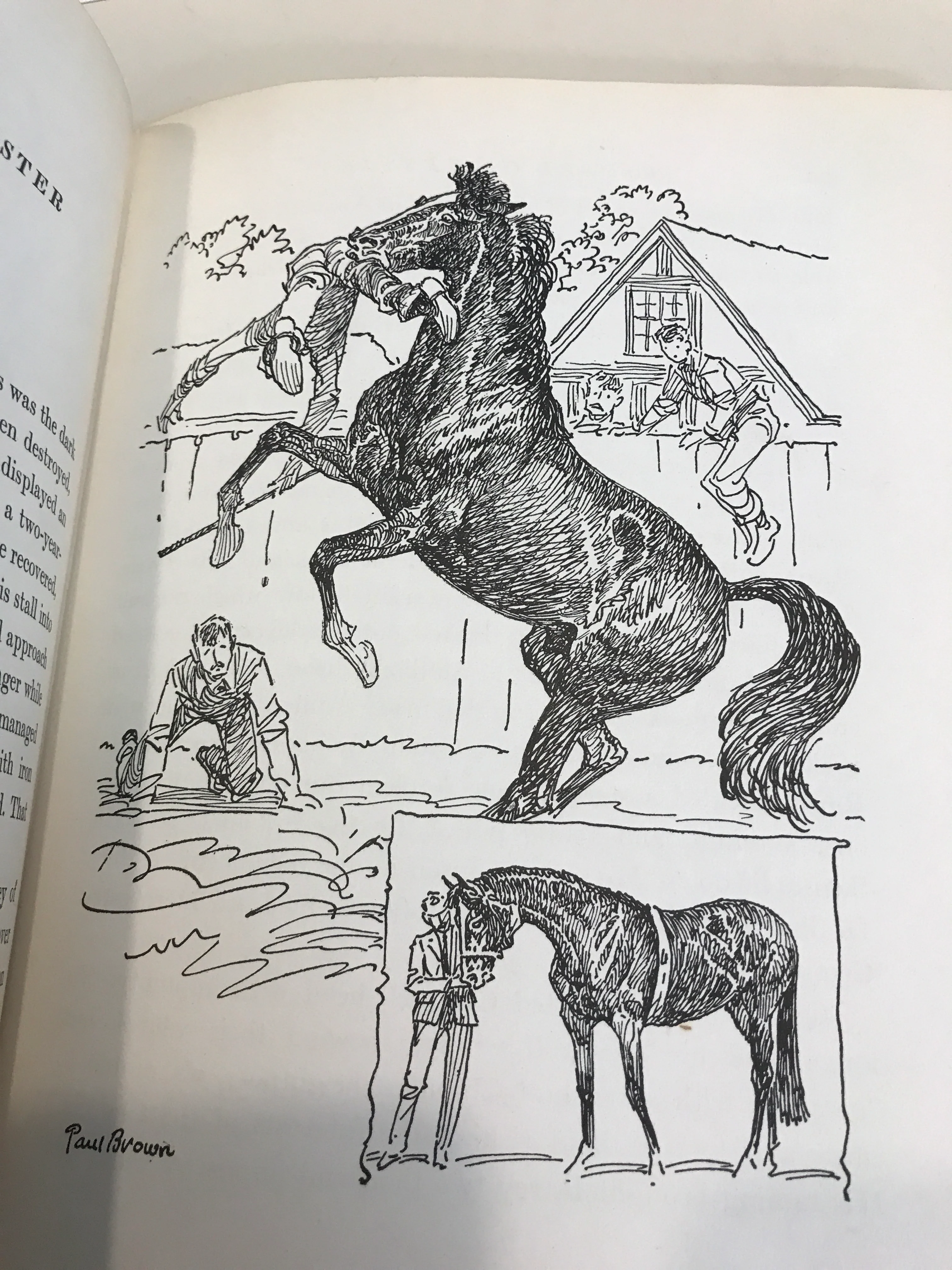 Horses of Destiny (First Edition) (Hardcover) by Fairfax and Paul Brown Downey (Author), Paul Brown (Illustrator) - gently used - Image 3