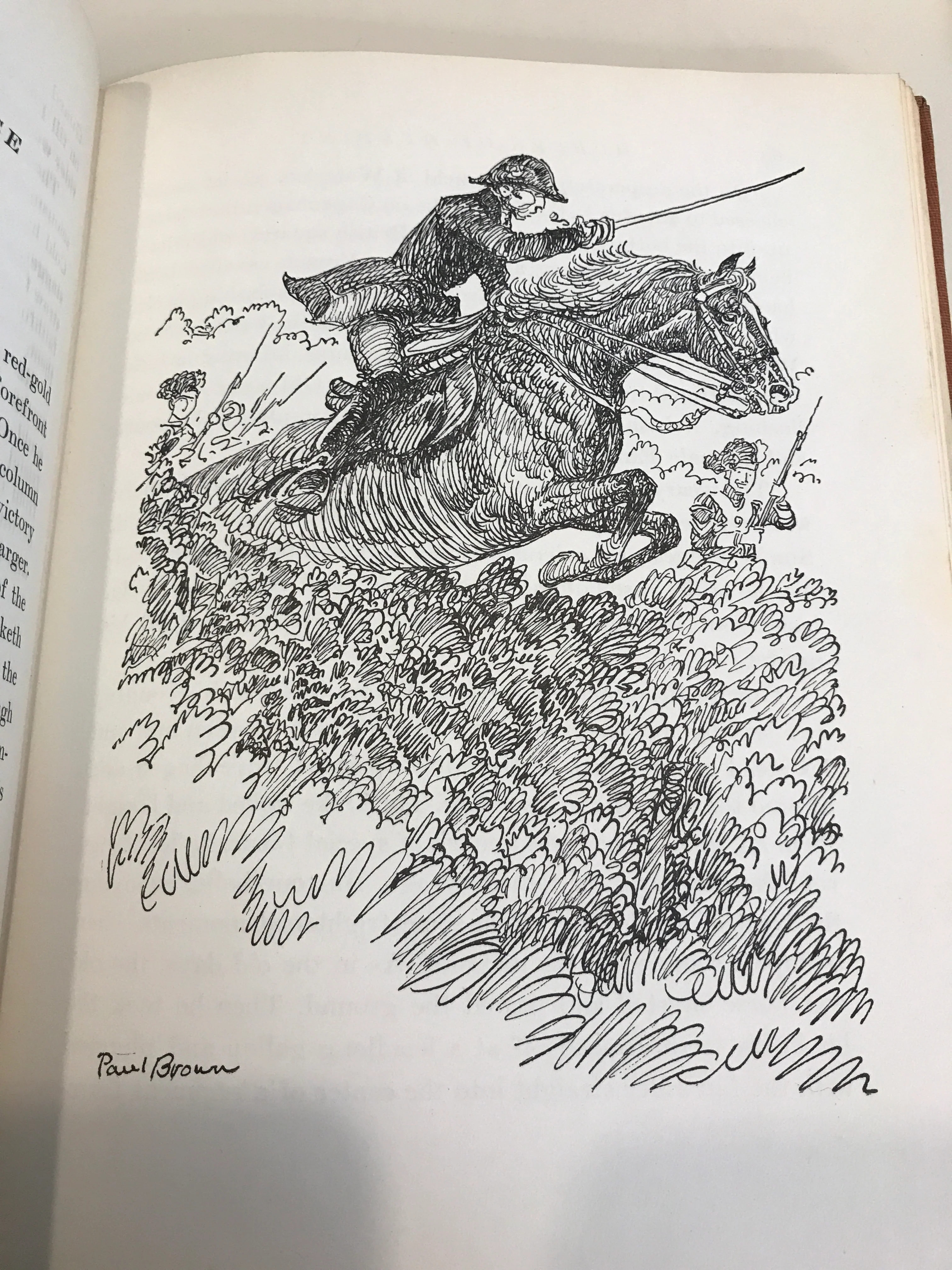 Horses of Destiny (First Edition) (Hardcover) by Fairfax and Paul Brown Downey (Author), Paul Brown (Illustrator) - gently used - Image 5