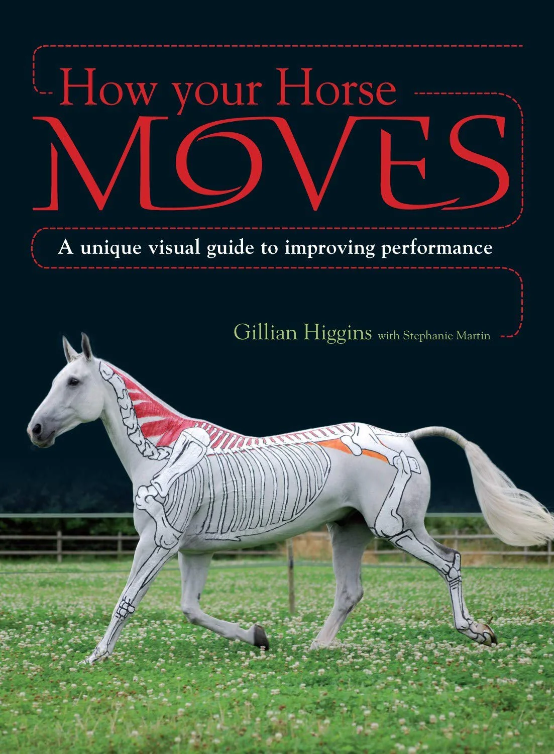 How Your Horse Moves: A Unique Visual Guide to Improving Performance - hardcover by Gillian Higgins  - gently used
