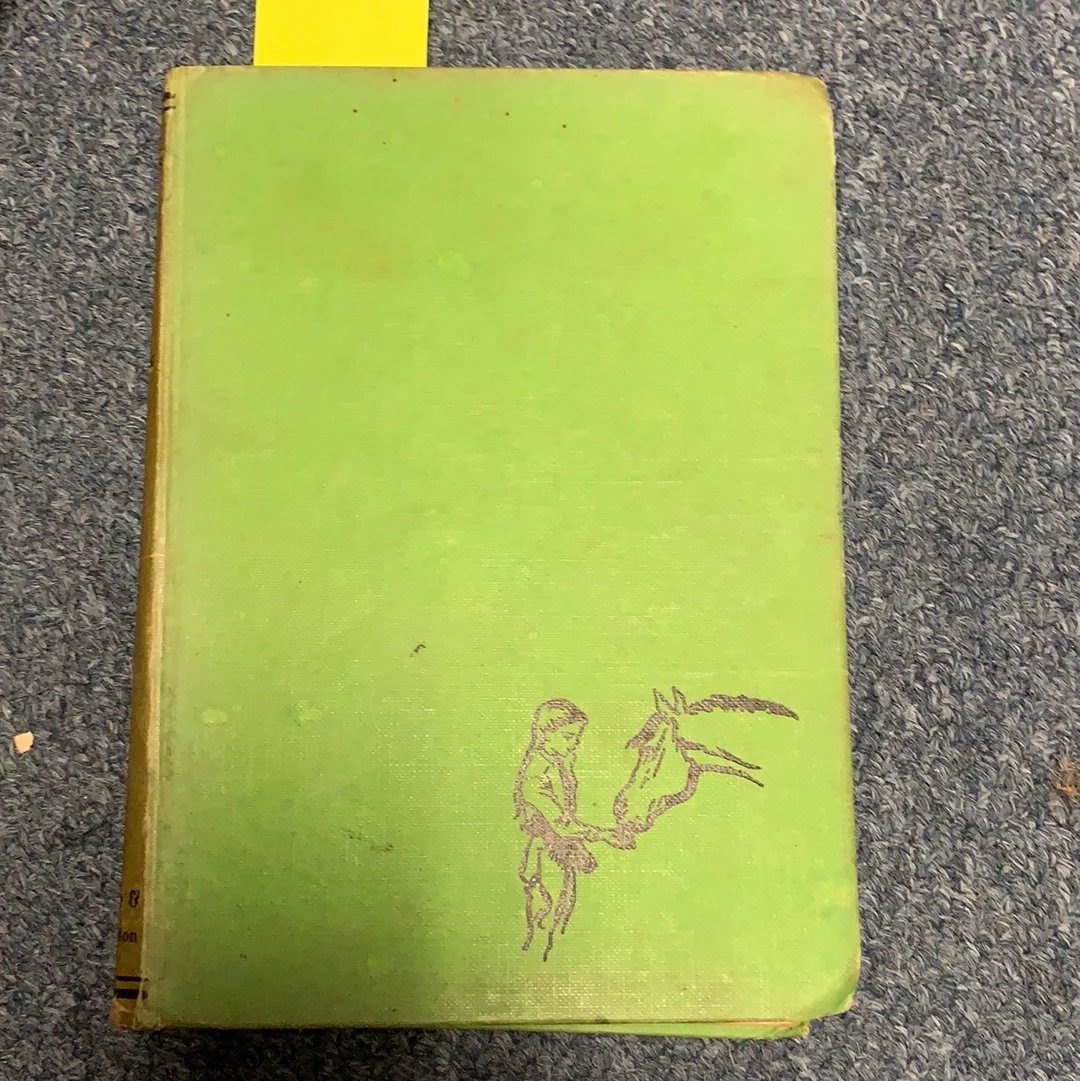 Jill Has Two Ponies by Ruby Ferguson - gently used