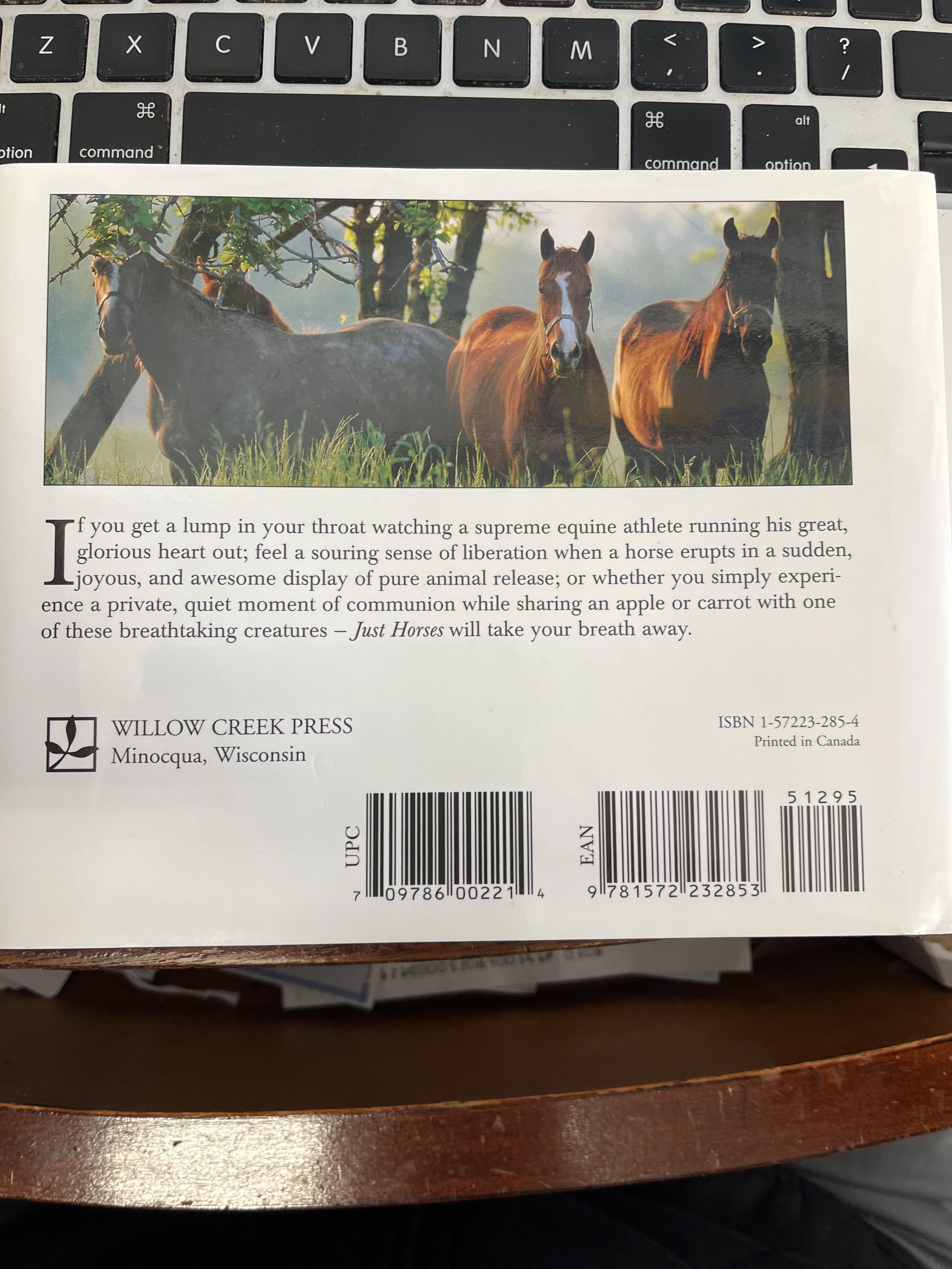Just Horses: Living With Horses in America Hardcover – by Denver Bryan & Margot Page - gently used - Image 2