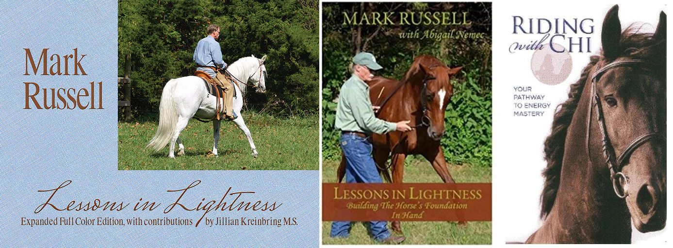 Lessons in Lightness 2019 Expanded Edition by Mark Russell with contributions by Jillian Kreinbring M. S. - Image 4