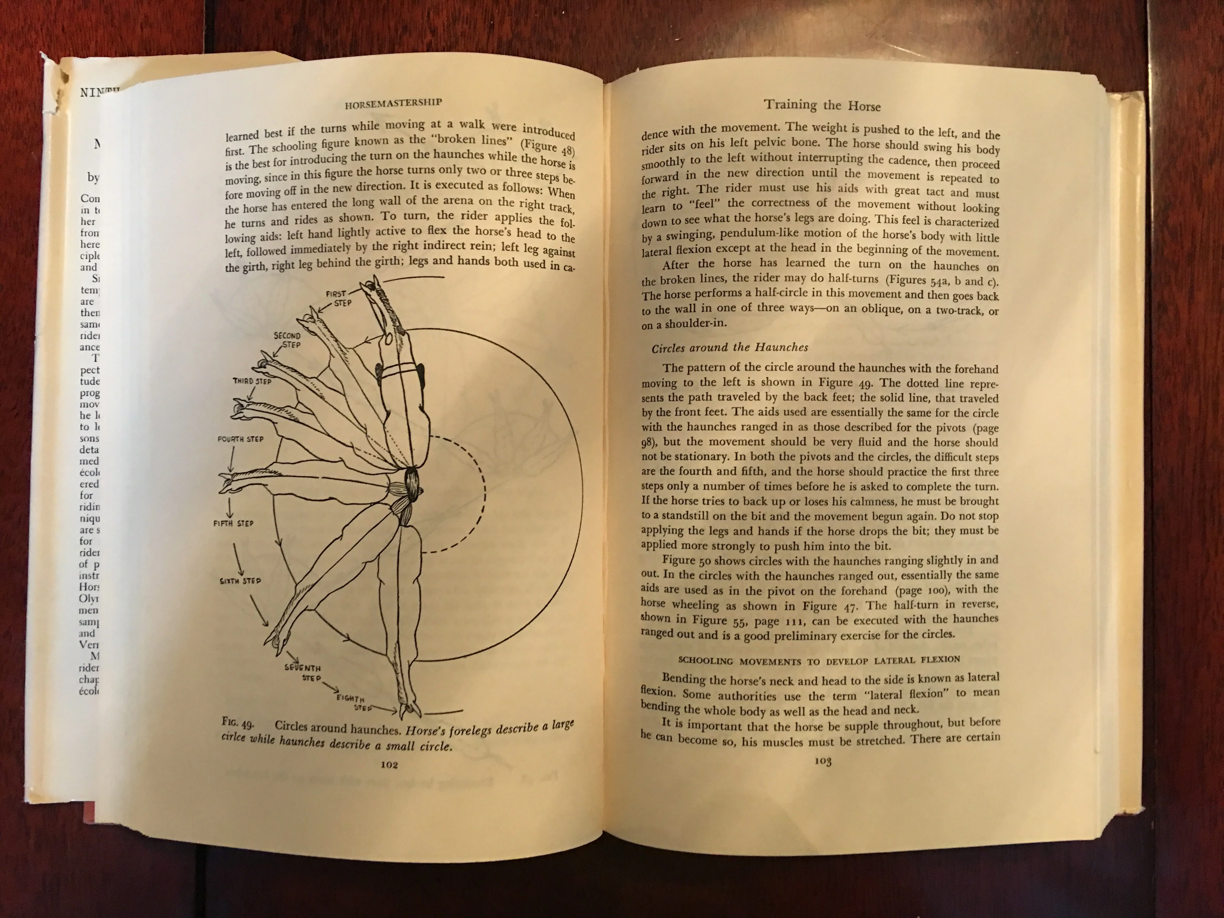 Margaret Cabell Self's Horsemastership: Methods of Training the Horse and the Rider 1952 edition - Image 3