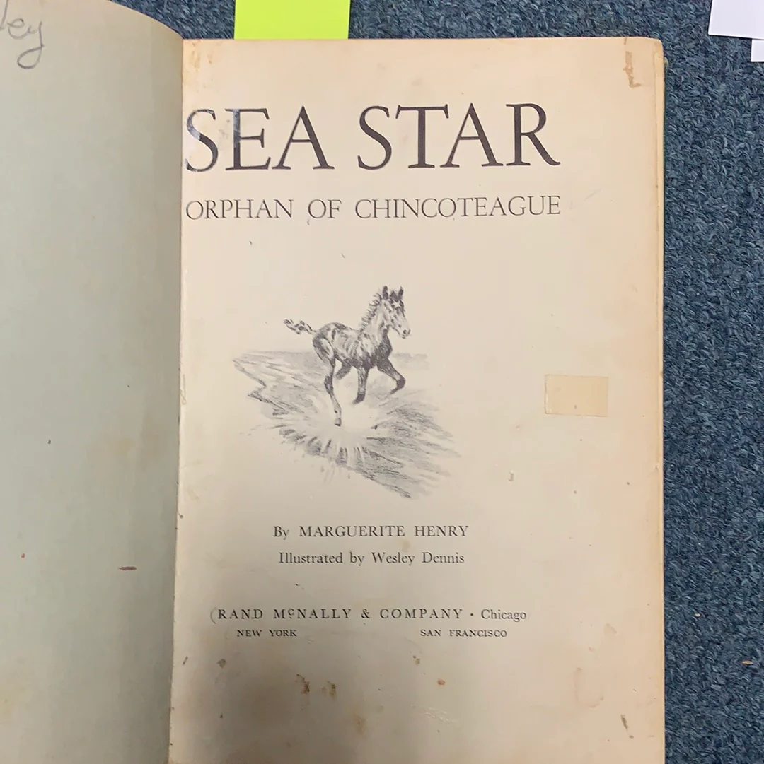 Sea Star: Orphan of Chincoteague - gently used hardcover by Marguerite Henry - Image 2