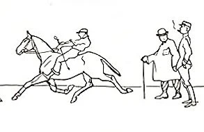 Seat, Gaits, and Reactions & The Evolution of the Position of the Rider through the Ages by Captain Beauregard de Sévy - Image 3