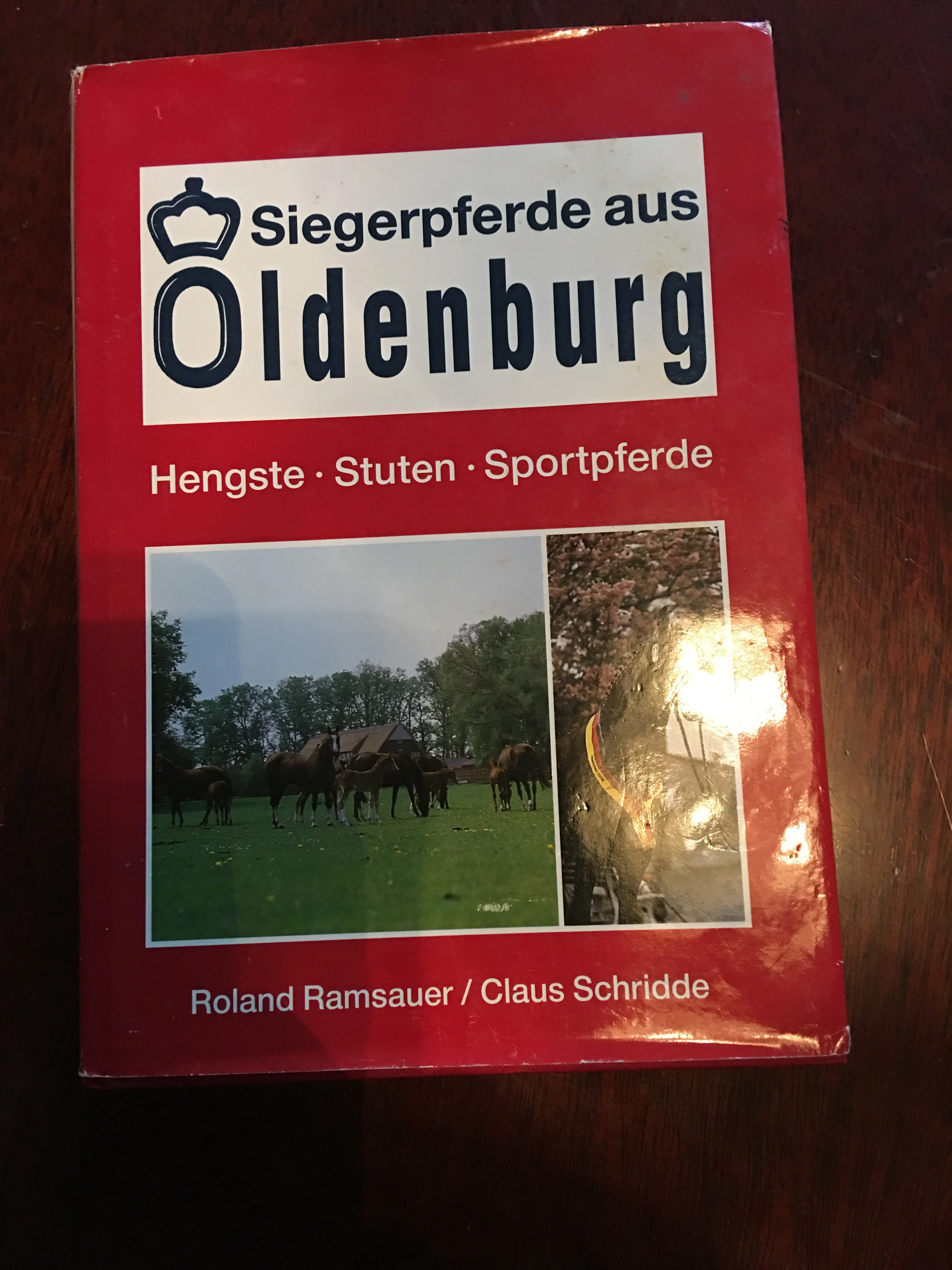 Siegerpferde aus Oldenburg. Hengste. Stuten. Sportpferde