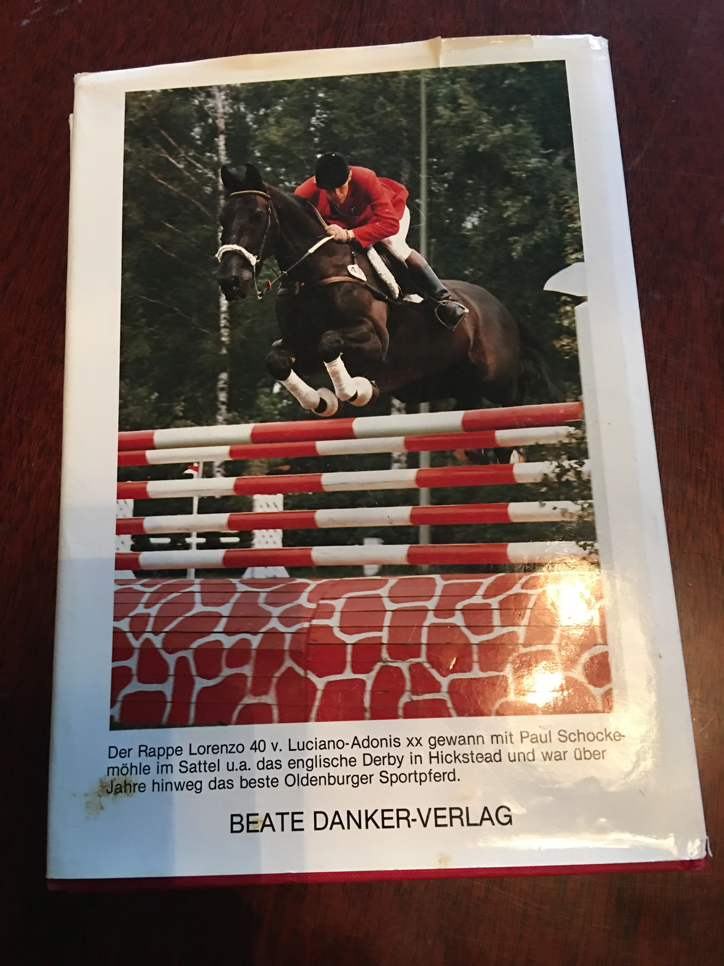 Siegerpferde aus Oldenburg. Hengste. Stuten. Sportpferde - Image 2