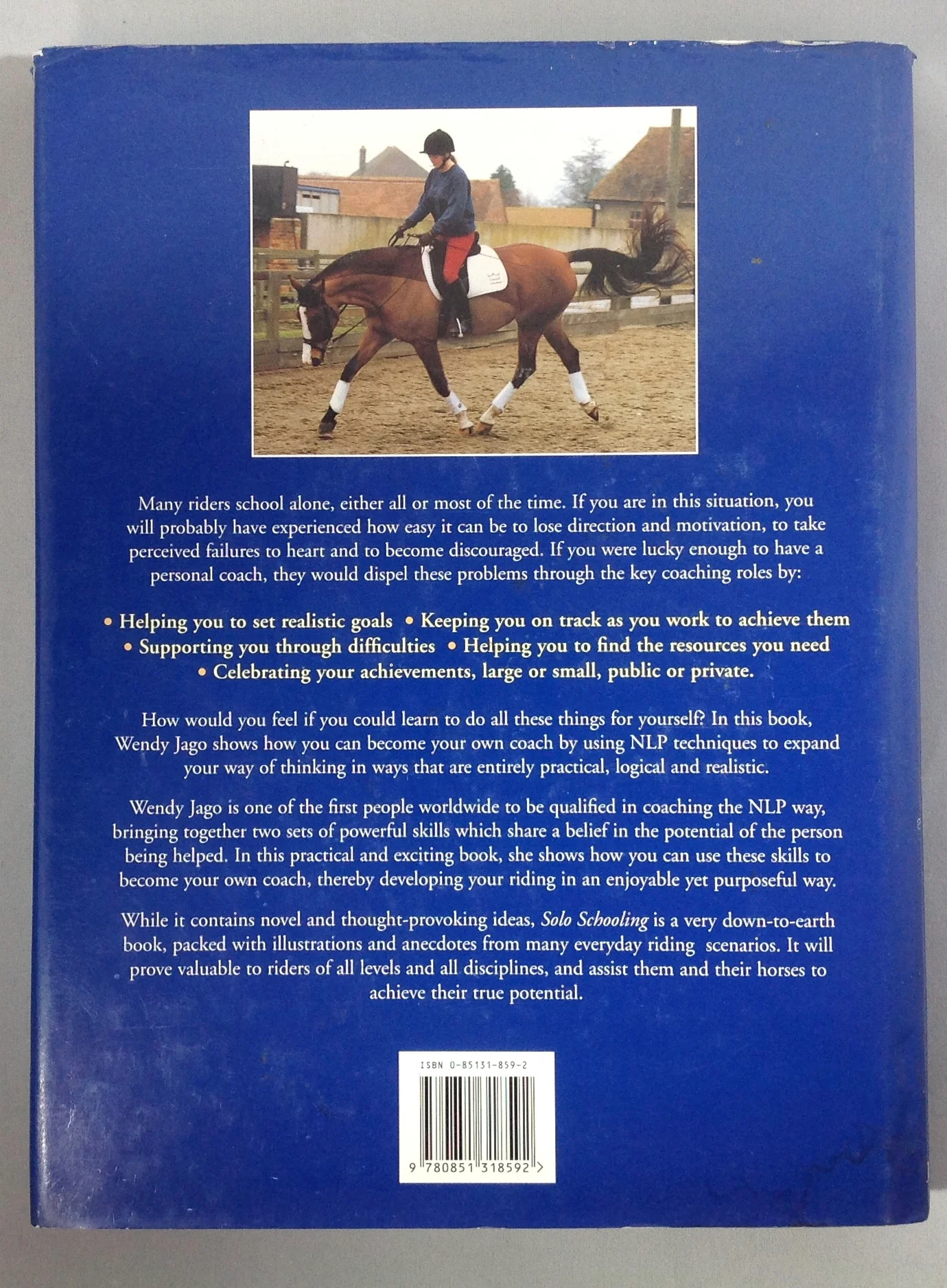 Solo Schooling by Wendy Jago (used) - Image 2
