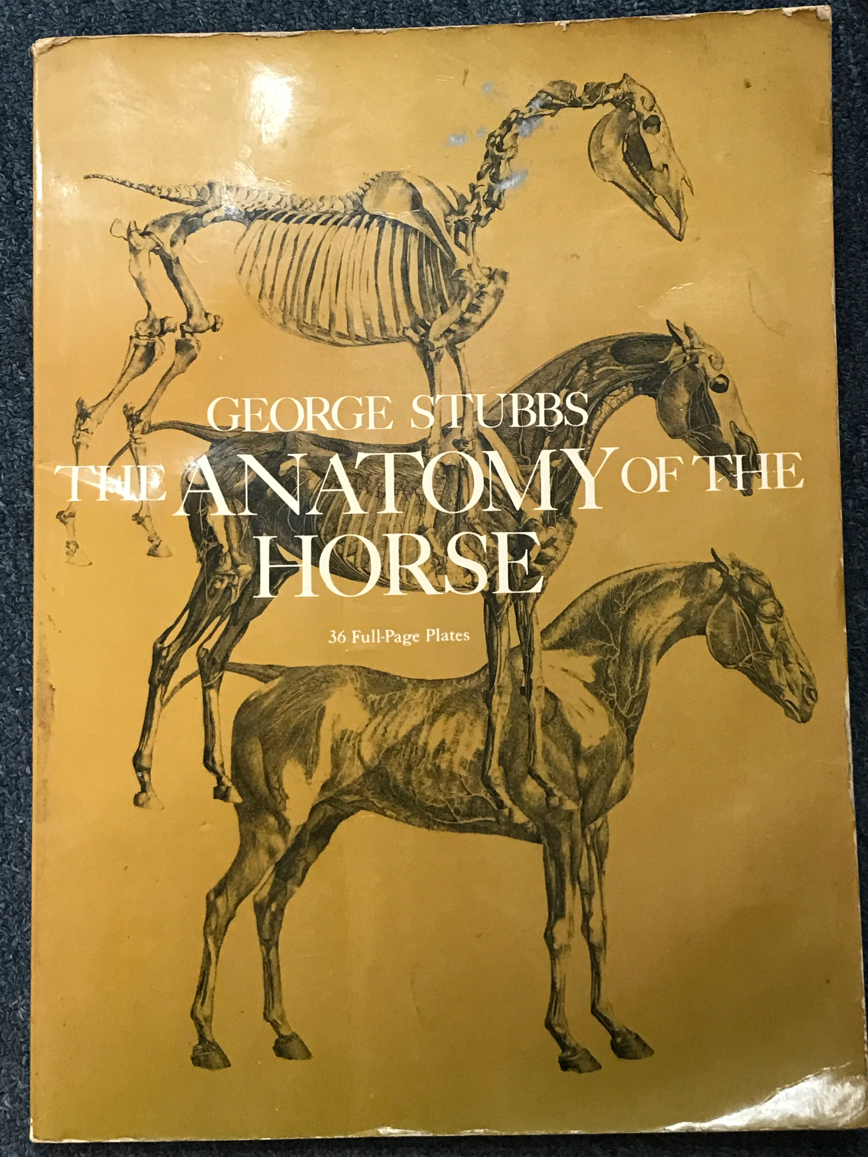 The Anatomy of a Horse by George Stubbs - softcover - gently used copy - Image 2