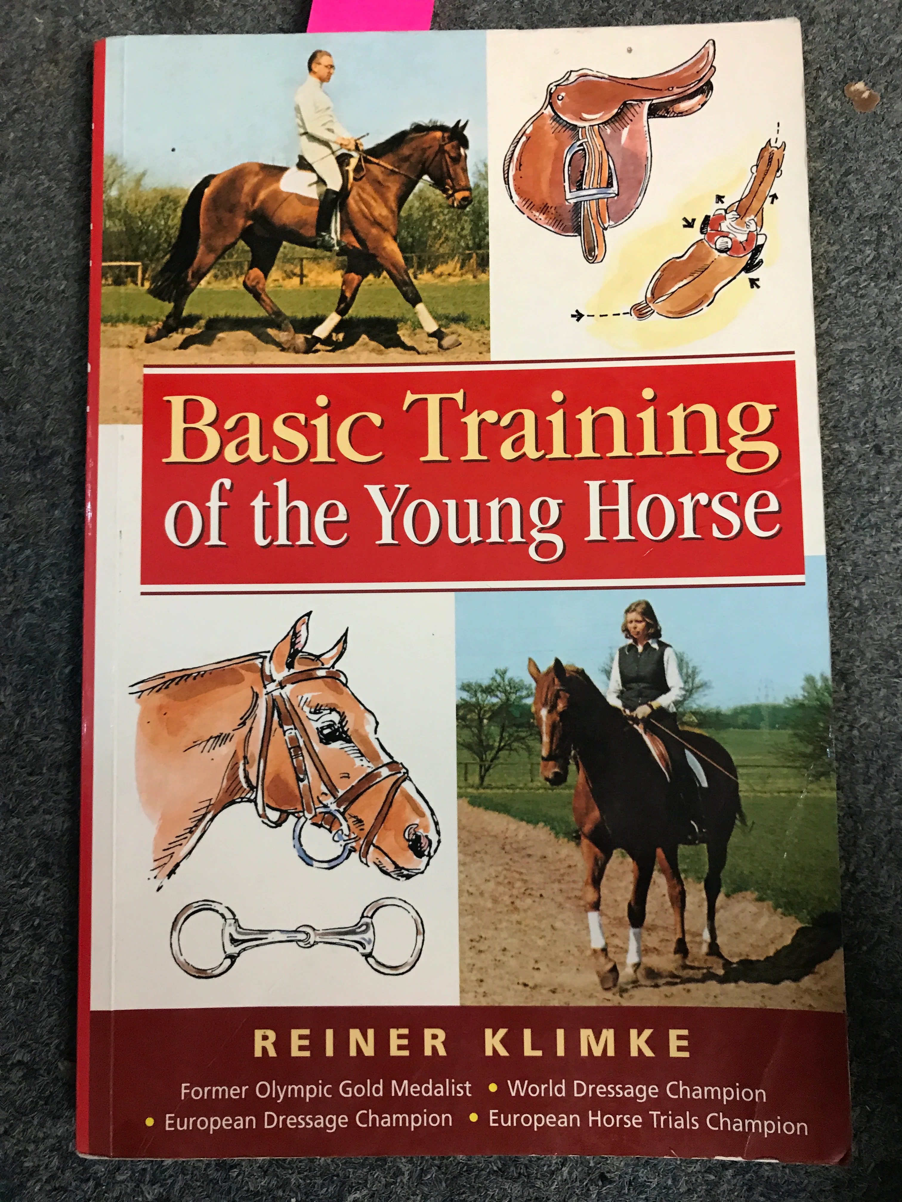 The Basic Training of the Young Horse by Reiner Klimke - gently used copy - Image 3