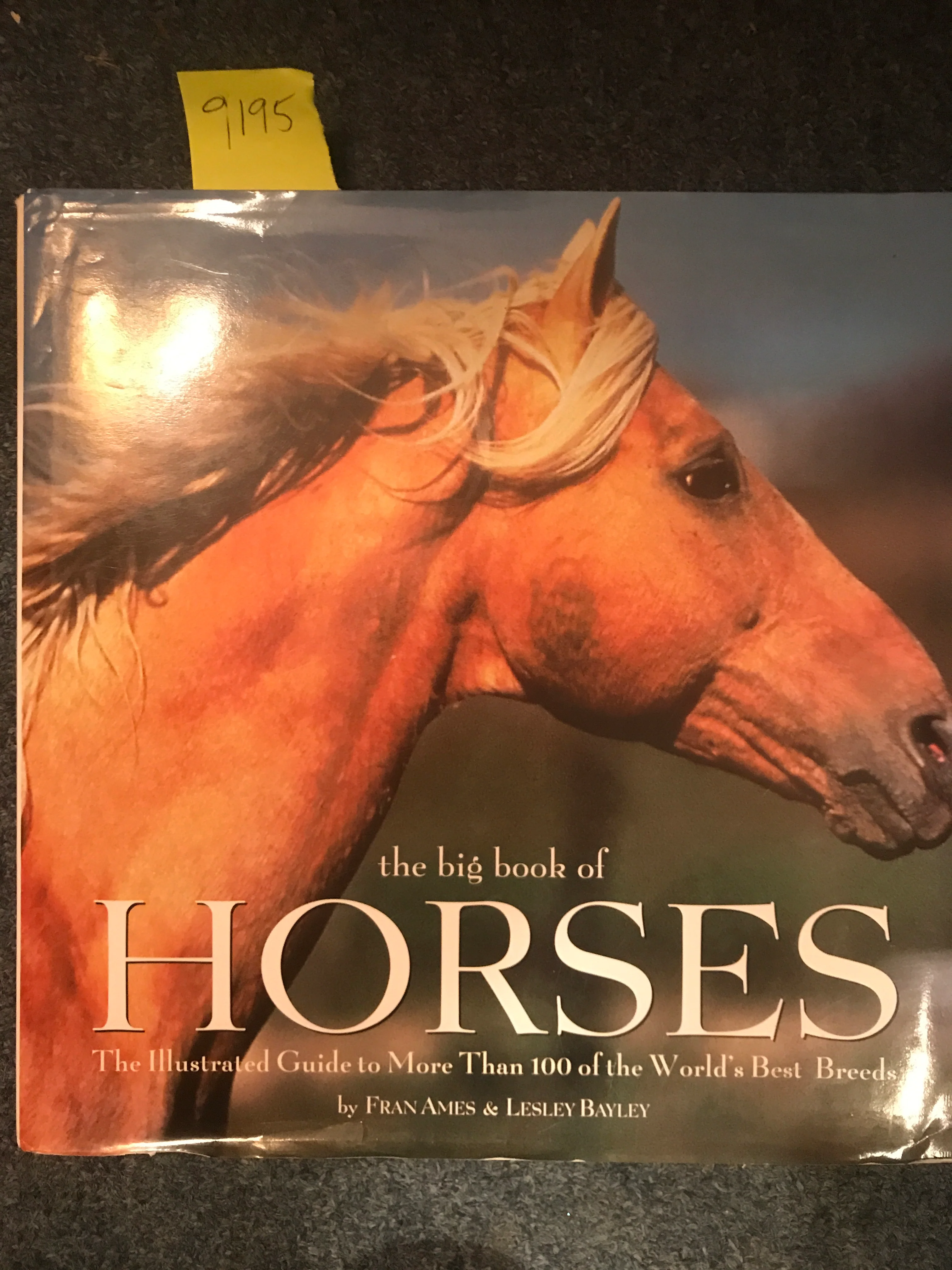 The Big Book of Horses: The Illustrated Guide to More Than 100 of the World's Best Breeds - gently used Hardcover - Image 2