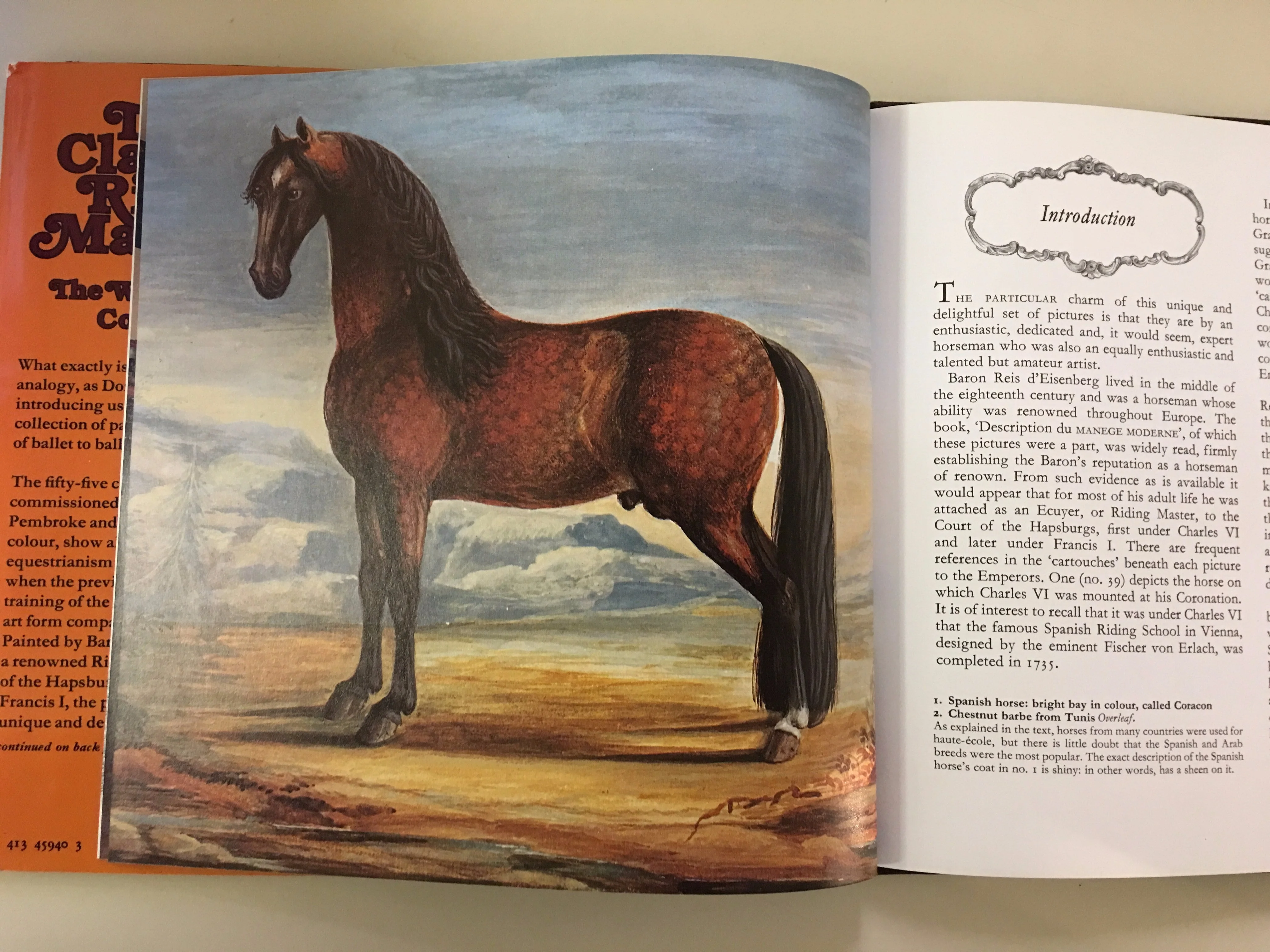 The Classical Riding Master: The Wilton House Collection commentary by Dorian Williams (Gently Used copy) - Image 4