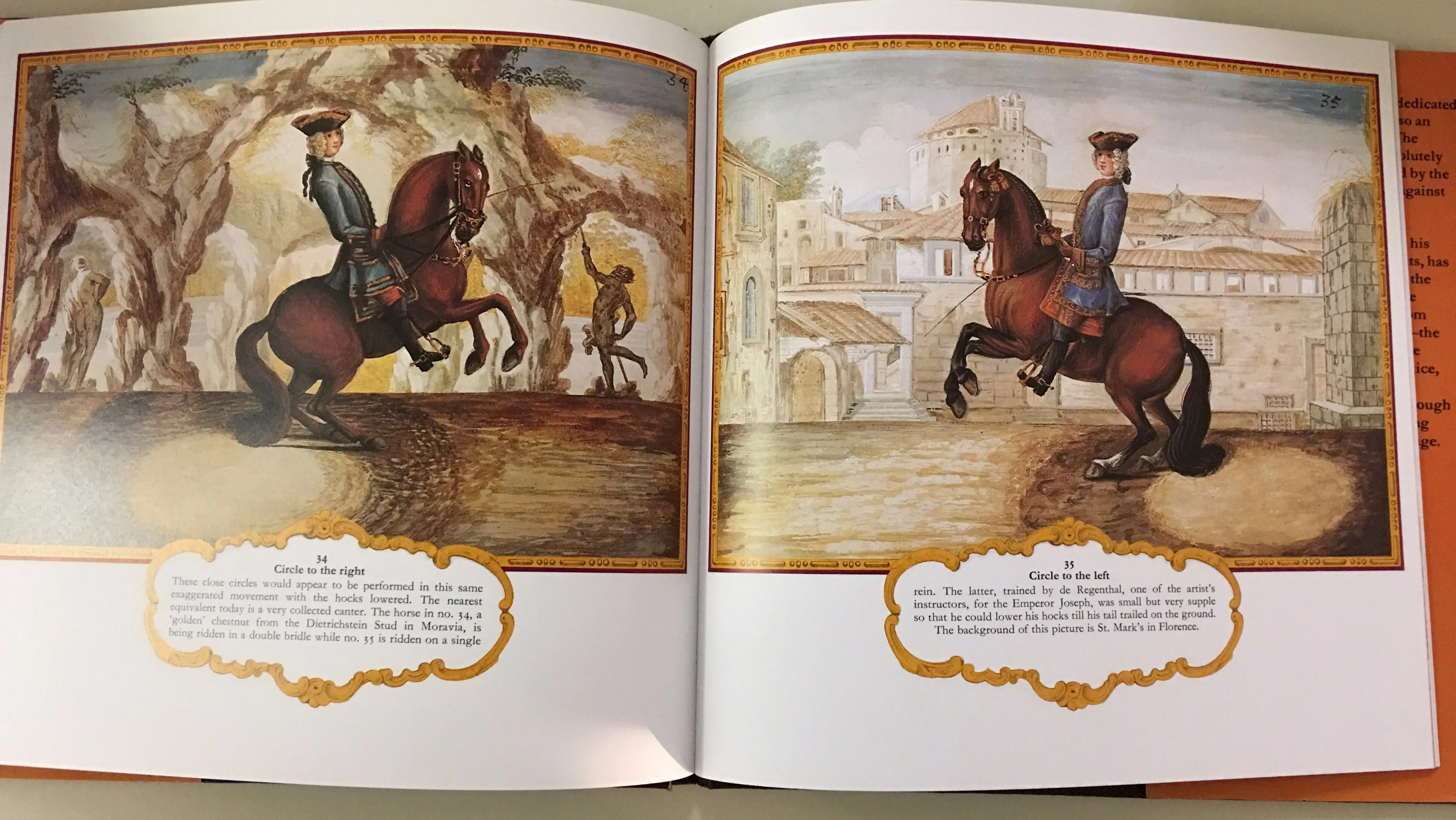 The Classical Riding Master: The Wilton House Collection commentary by Dorian Williams (Gently Used copy) - Image 5