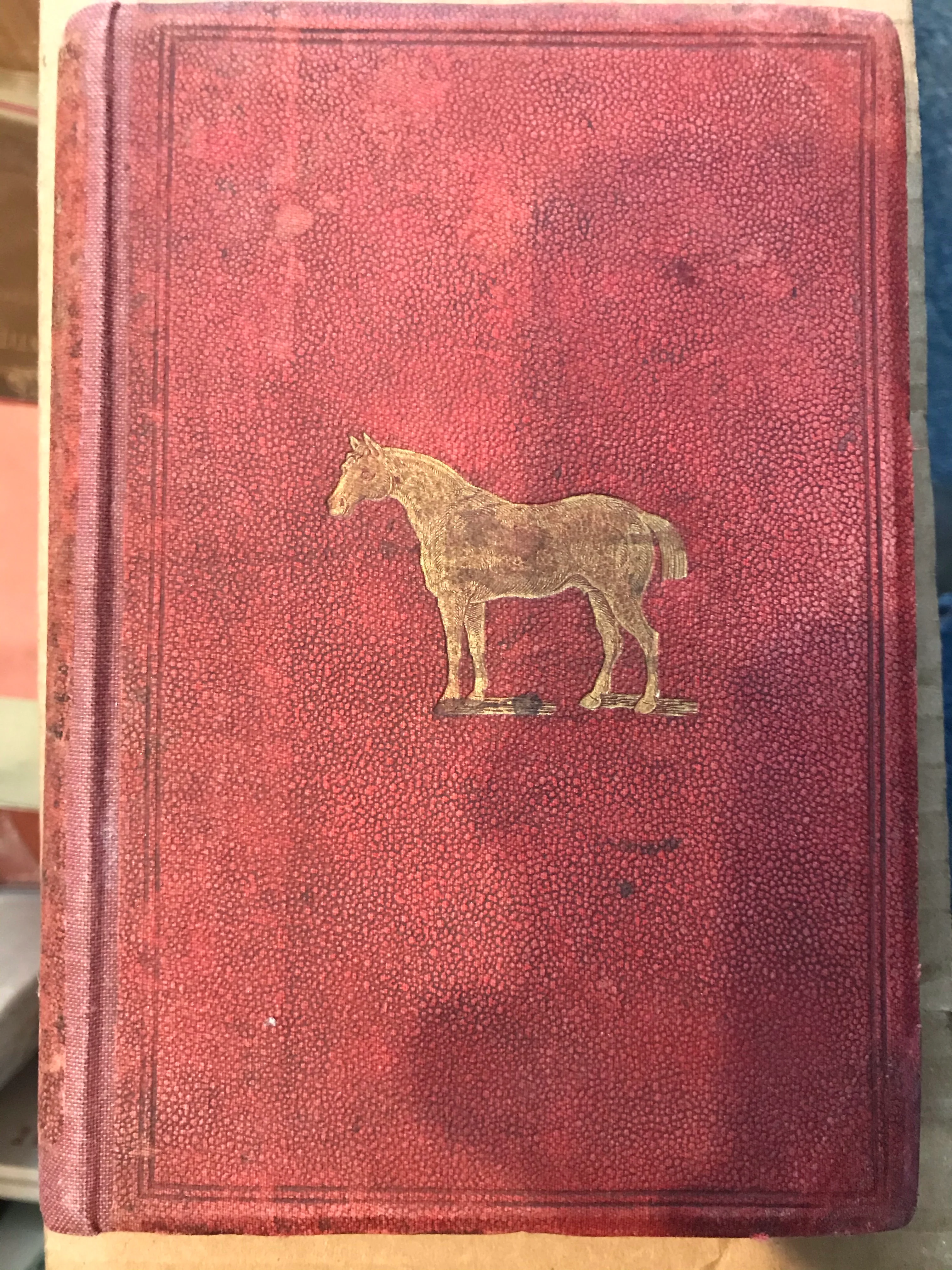 The Horse, Its Taming, Training and General Management: With Anecdotes, &C., Relating to Horses and Horsemen by Sydney Galvayne SIGNED BY AUTHOR - Image 5