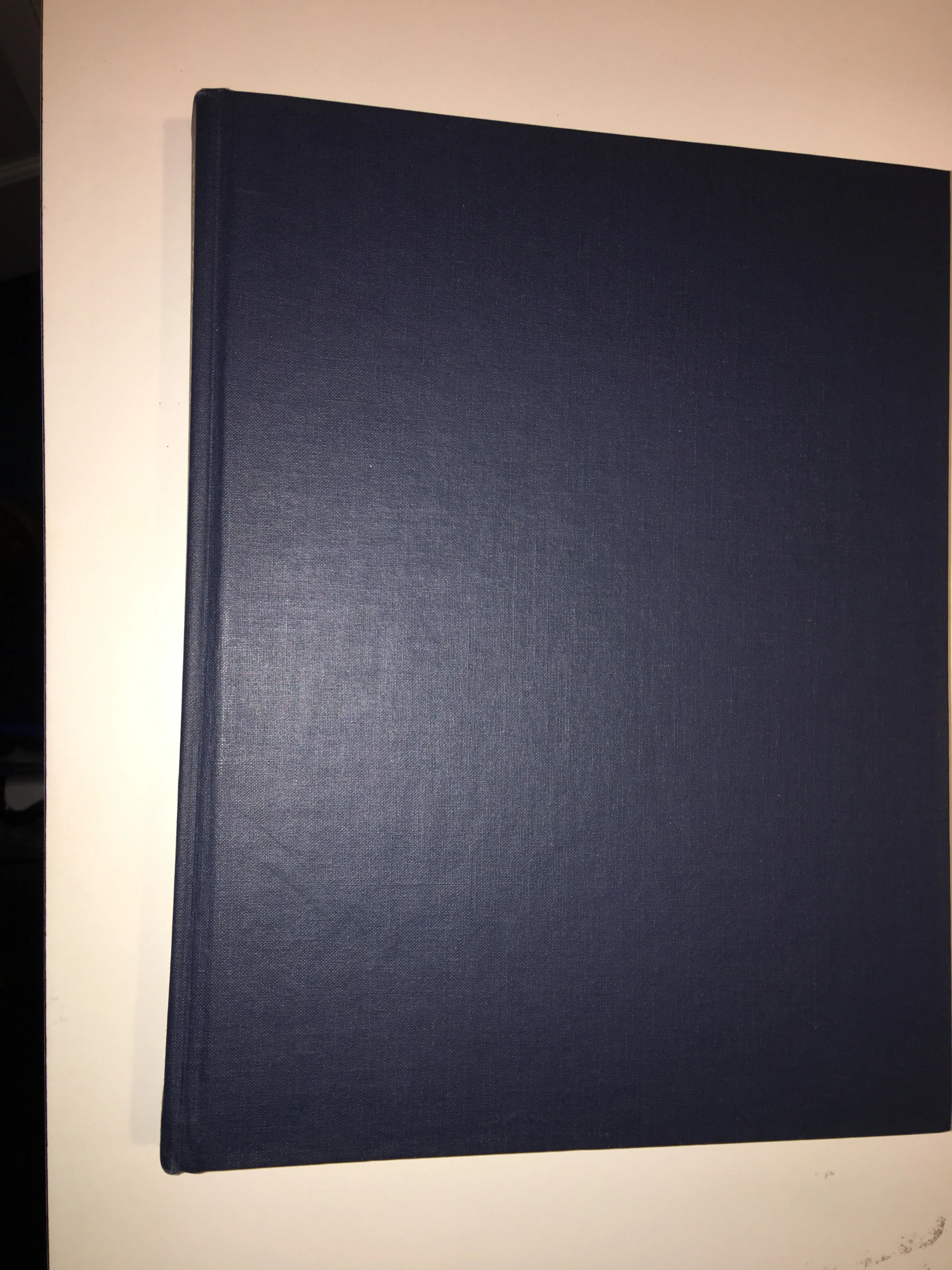 The Royal Horse and Rider: Painting, Sculpture and Horsemanship 1500-1800 by Walter Leidtke (gently used copy) - Image 7