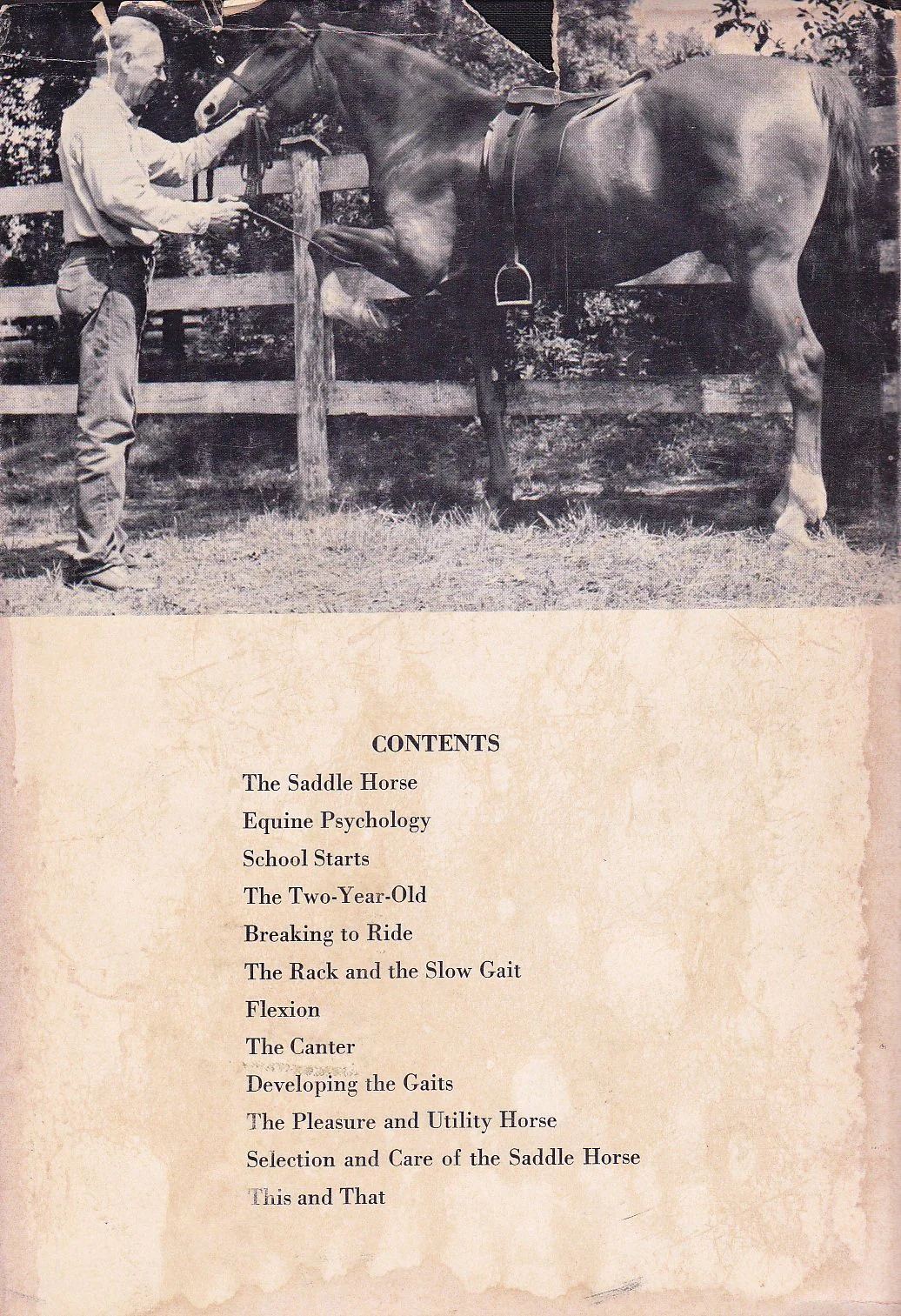 The Saddle Horse - gently used Hardcover – 1970 by Lance Phillips - Image 2