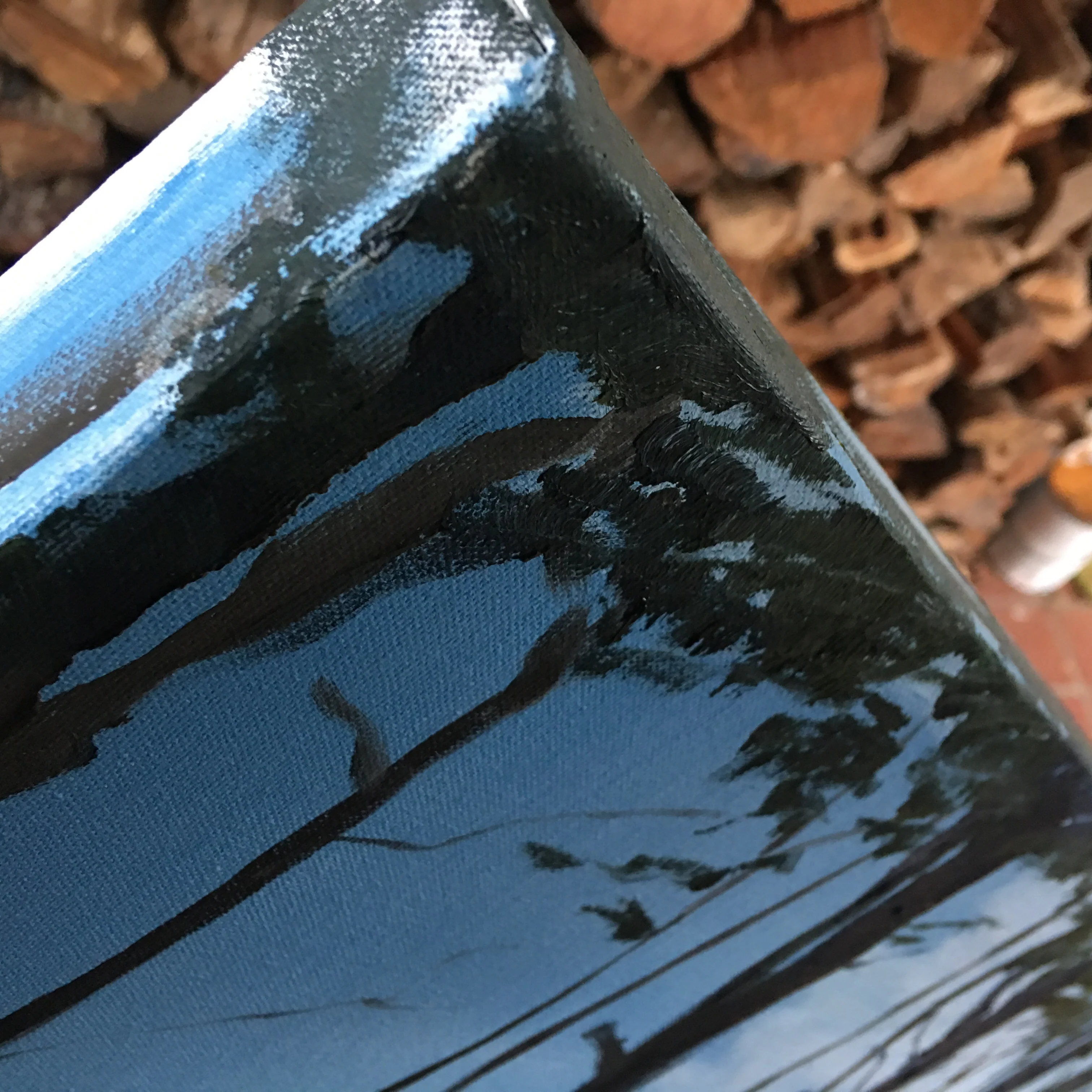Through the Pines Eastville Virginia 2017 - Image 3