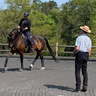 .Classical Dressage Instruction and Horse Training Analysis
rooted in decades of practical riding and scholarship through Xenophon Press. - Image 4